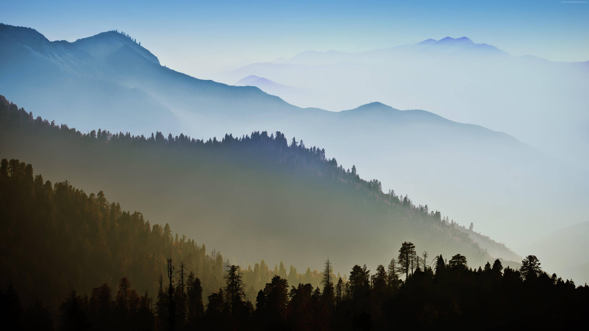 Foggy Smoky Mountains And Trees Wallpaper