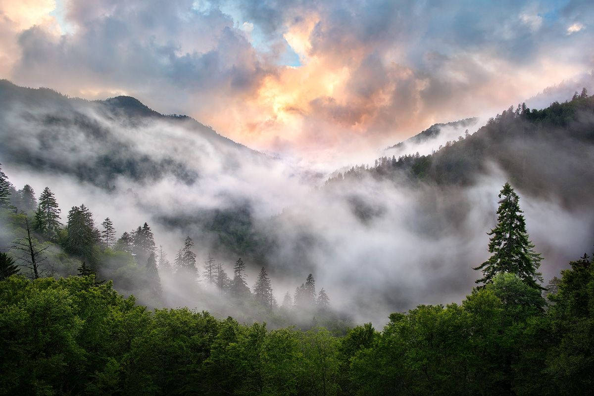 Foggy Smoky Mountains Wallpaper
