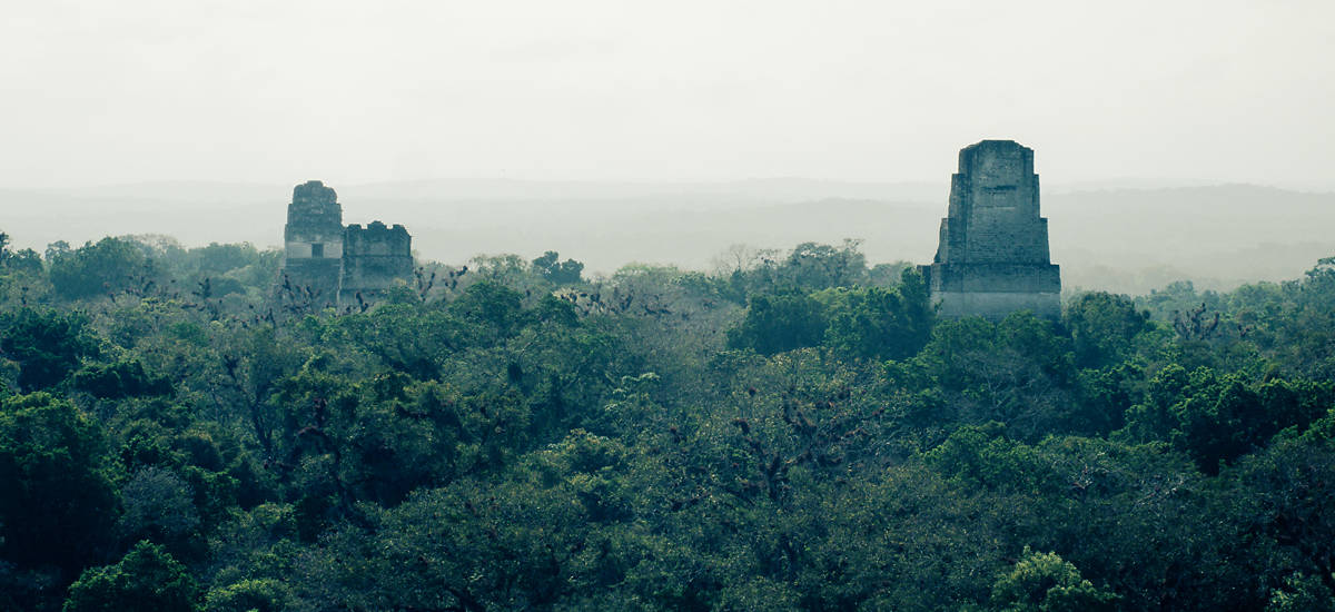 Foggy Tikal Wallpaper