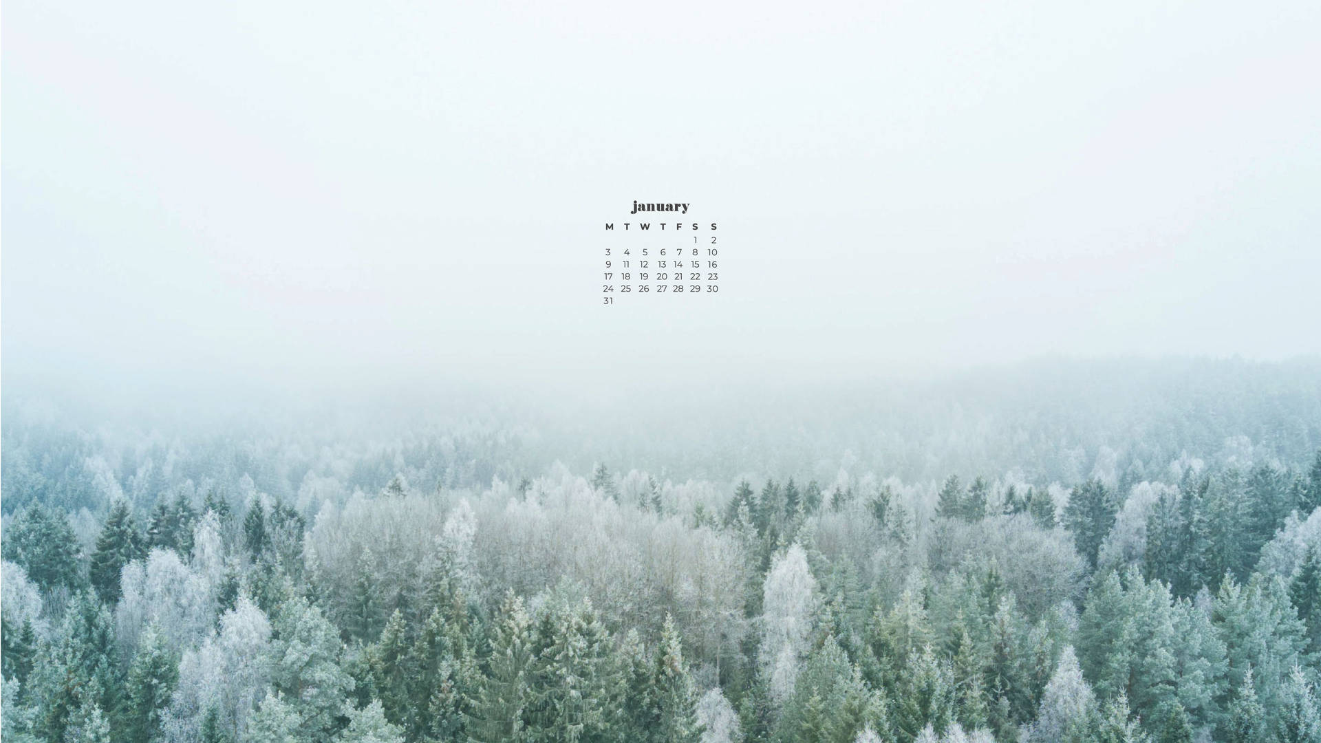Foggy Trees January 2022 Calendar Wallpaper