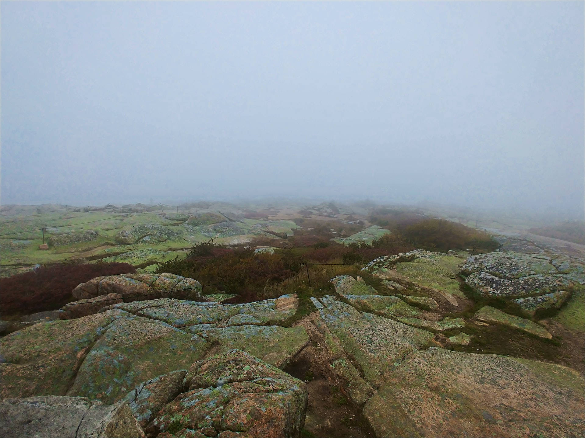 Foggy View Of Acadia National Park Wallpaper