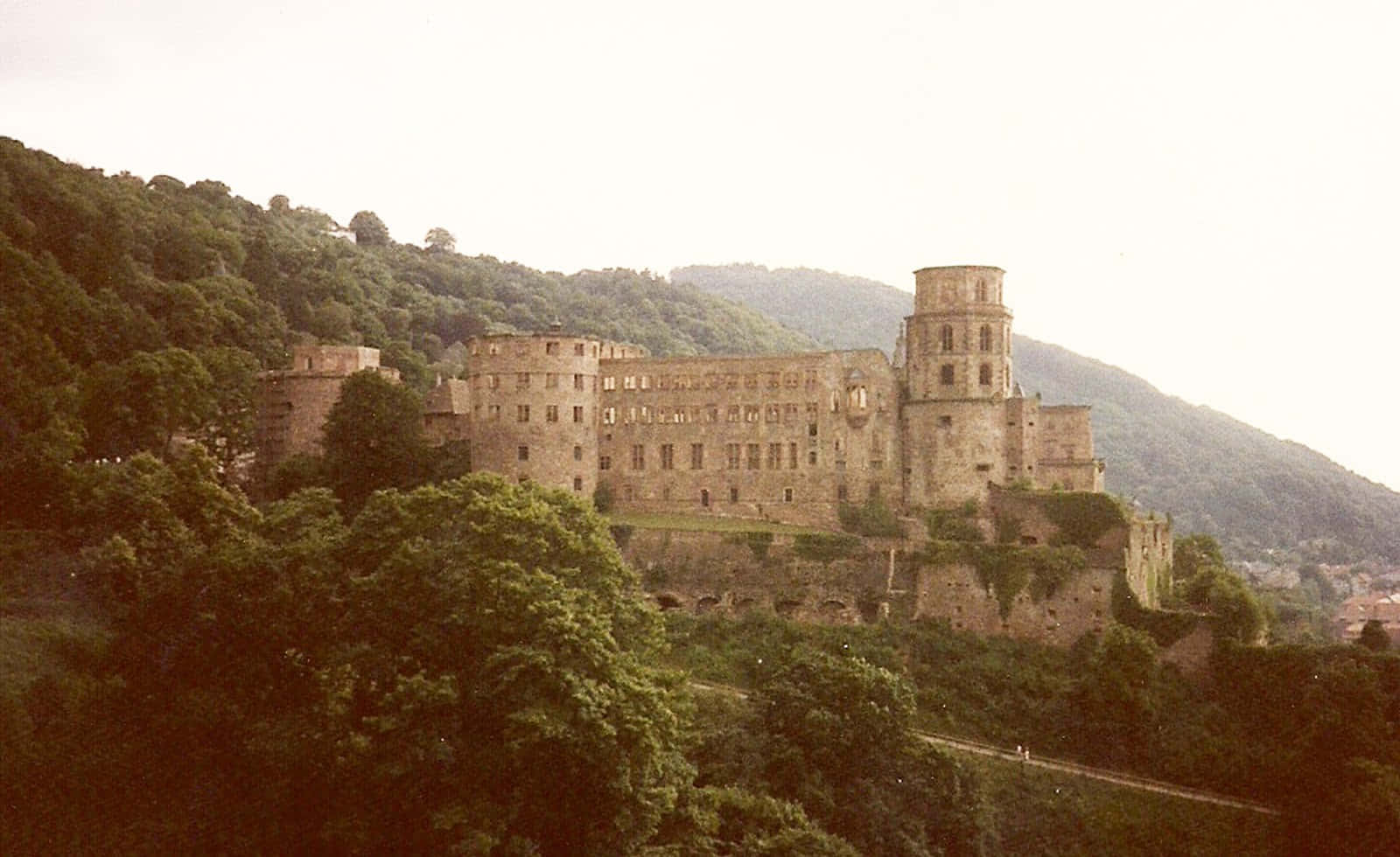 Foggy View Of Heidelberg Castle Wallpaper