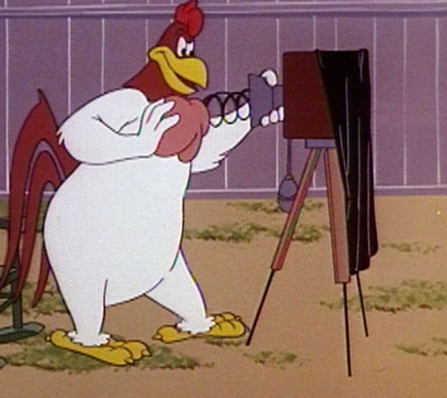 Foghorn Leghorn, the witty rooster. Wallpaper
