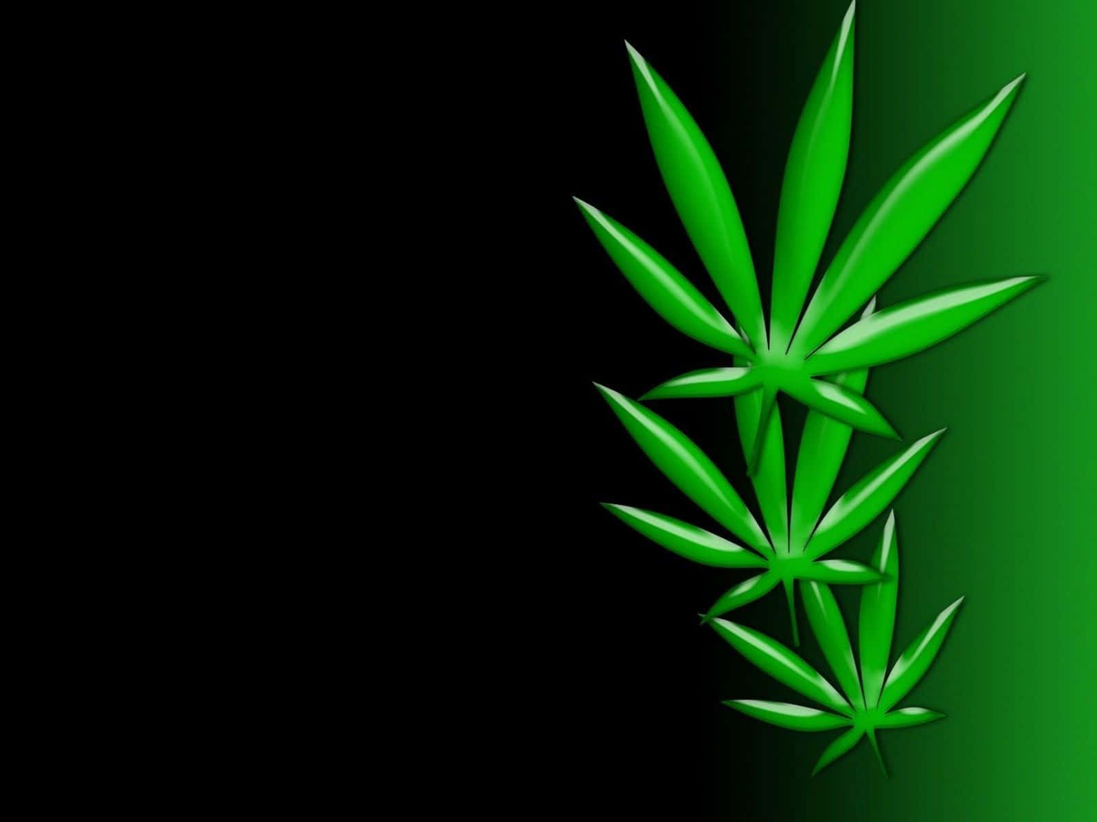 Fondode Pantalla De Hoja De Marihuana Verde