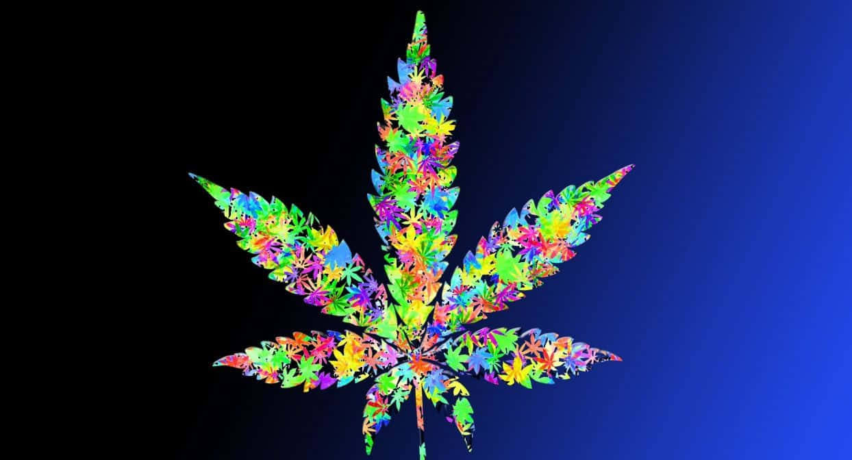 Fondode Pantalla De Hoja De Marihuana Vibrante