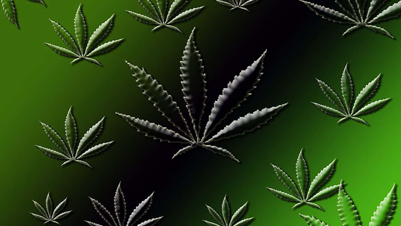 Fondode Pantalla De Planta De Marihuana Vibrante