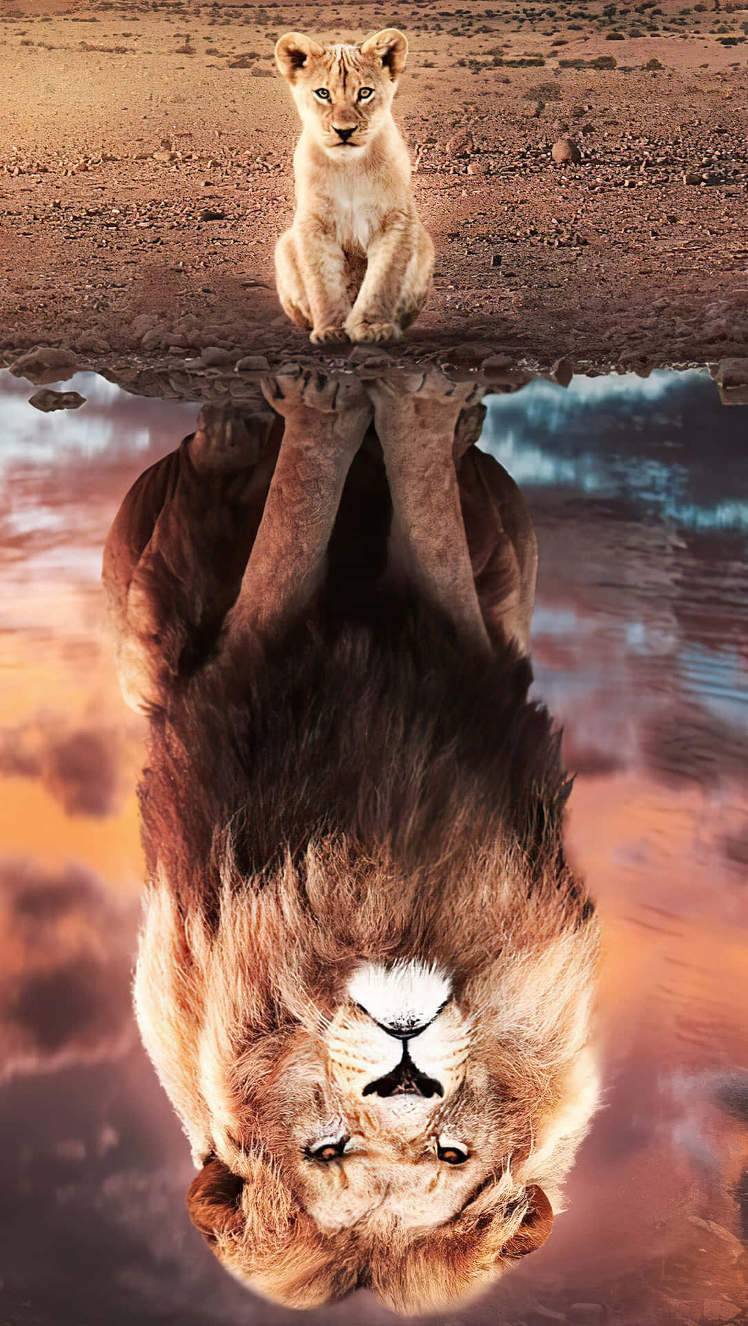 Fondode Pantalla De Un Bebé León