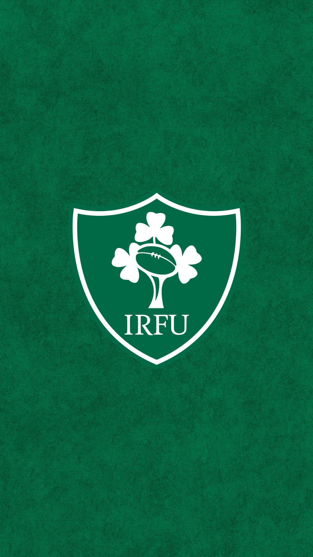 Fondode Pantalla: El Equipo De Rugby De Irlanda Celebra La Victoria Fondo de pantalla