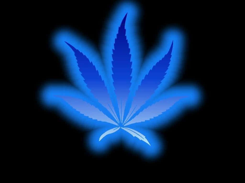 Fondode Pantalla Vibrante Con Hoja De Cannabis