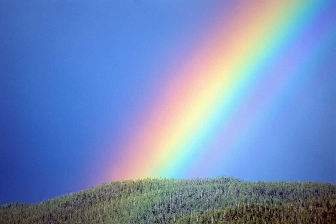 Fondoestético Con Un Colorido Espectro De Un Arcoíris.