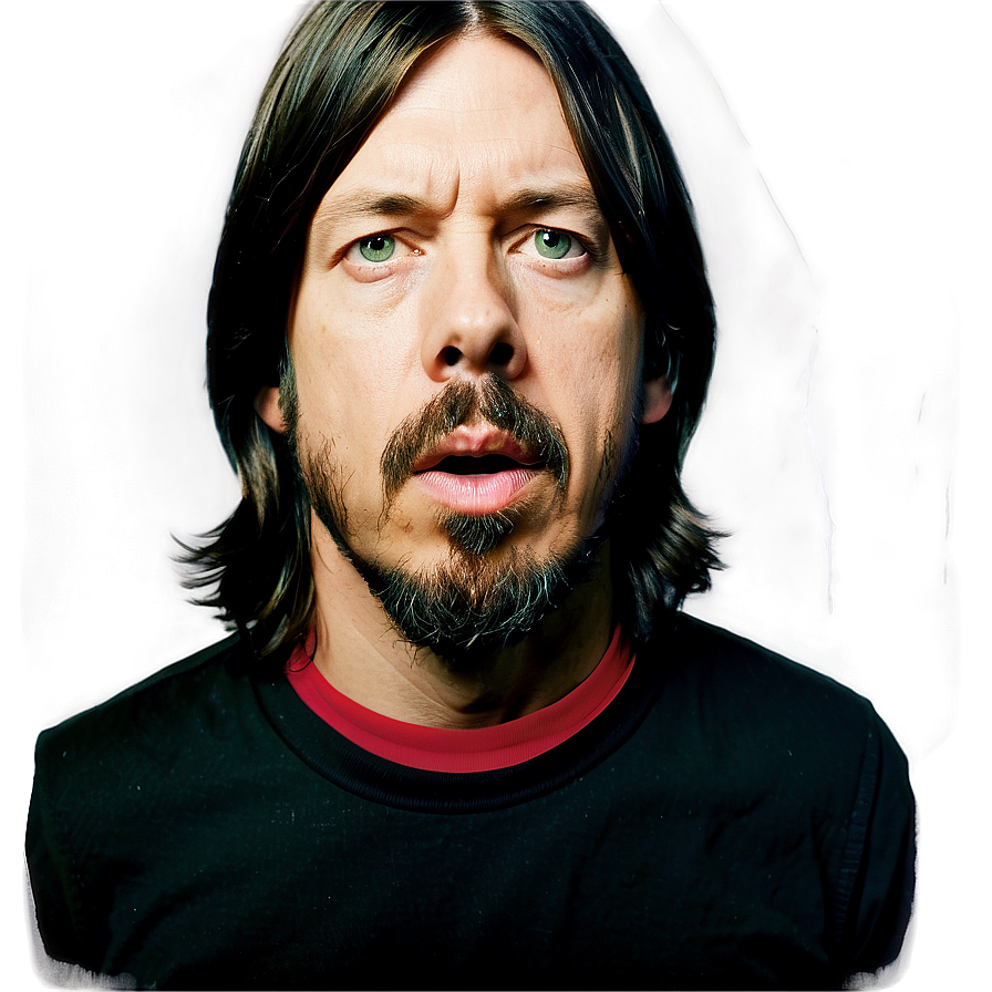 Foo Fighters Vinyl Cover Png 24 PNG