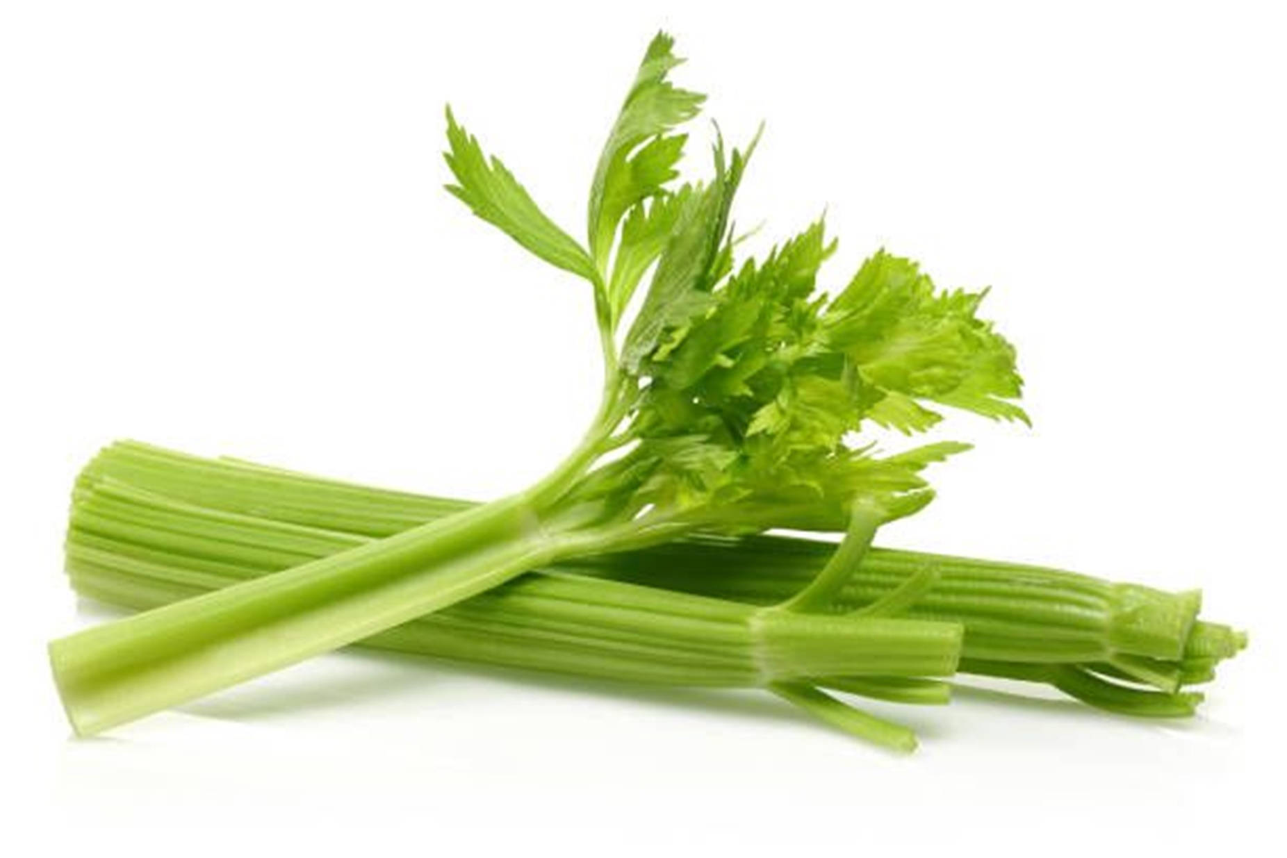 Food Photography Celery Stick Wallpaper