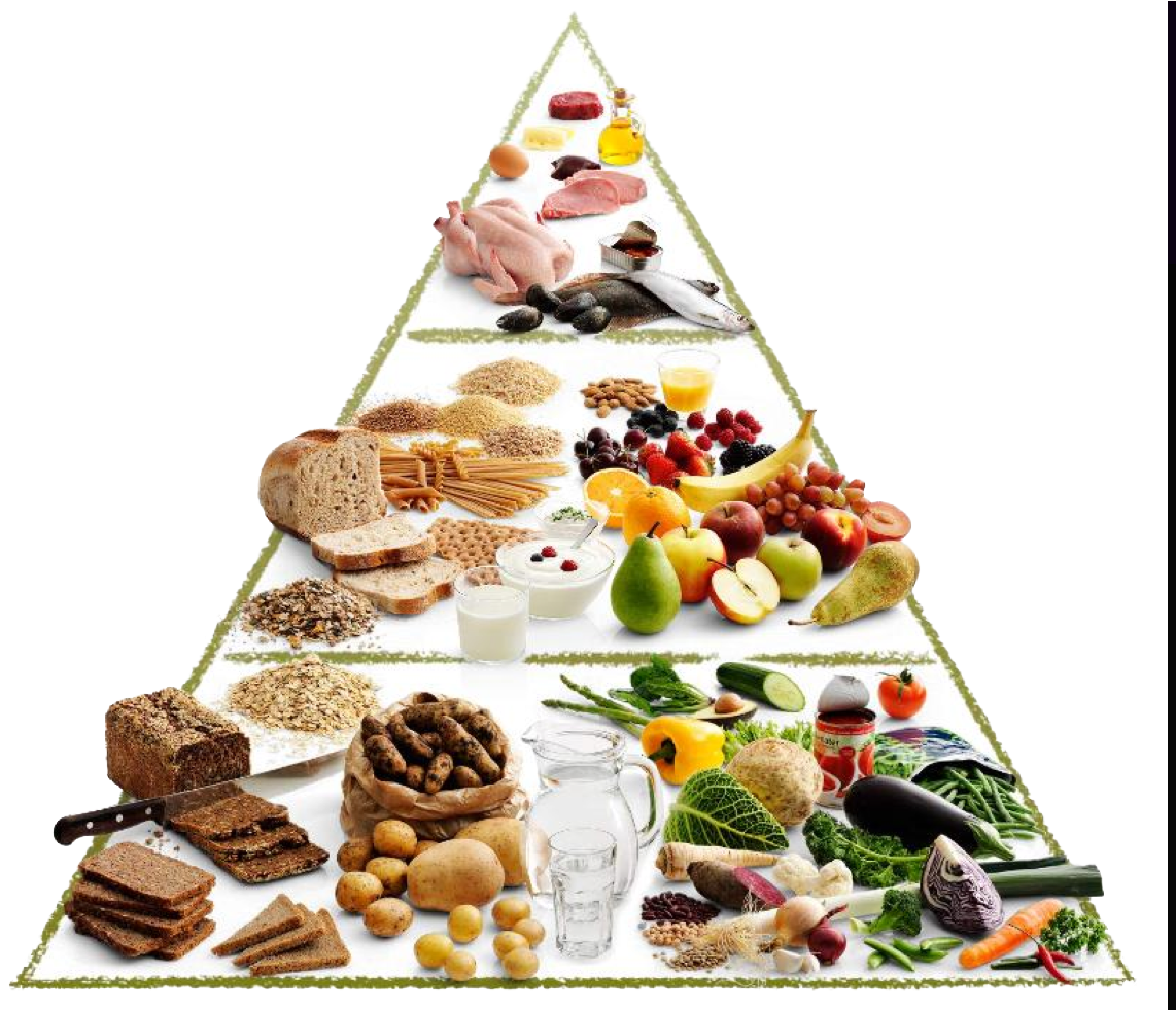 Food Pyramid Nutrition Guide PNG