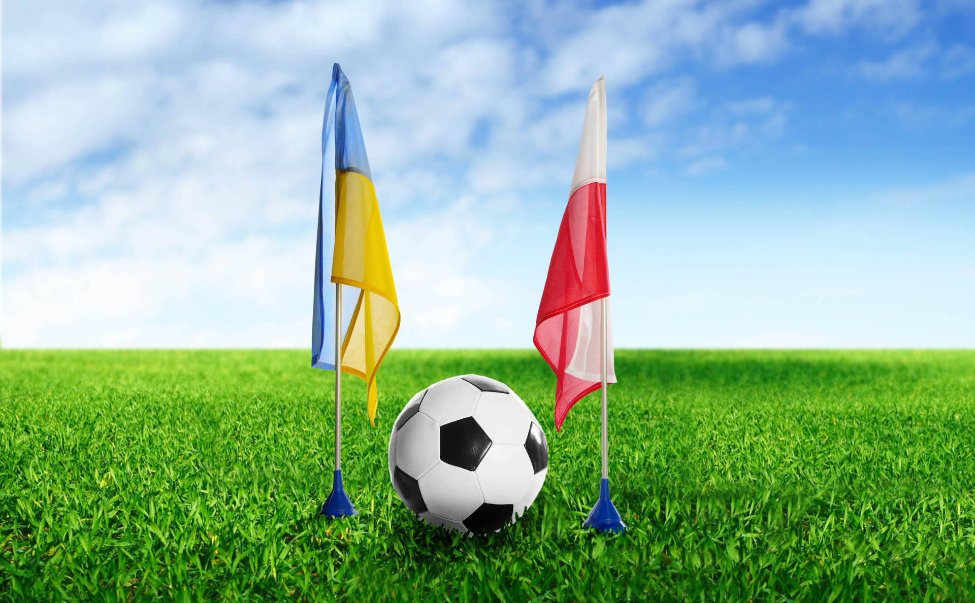Football Ukraine Poland Flags