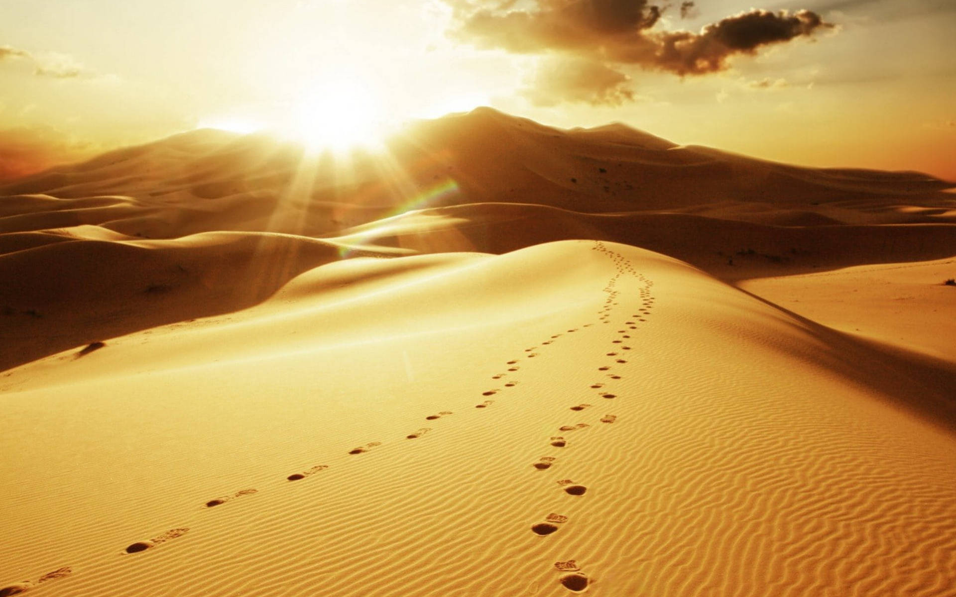 Footprint Desert Sun Wallpaper
