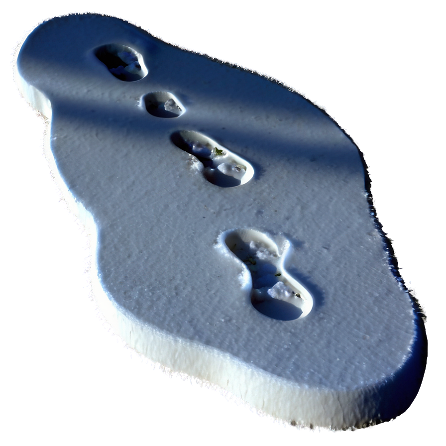 Footprints In Snow Path Png 9 PNG
