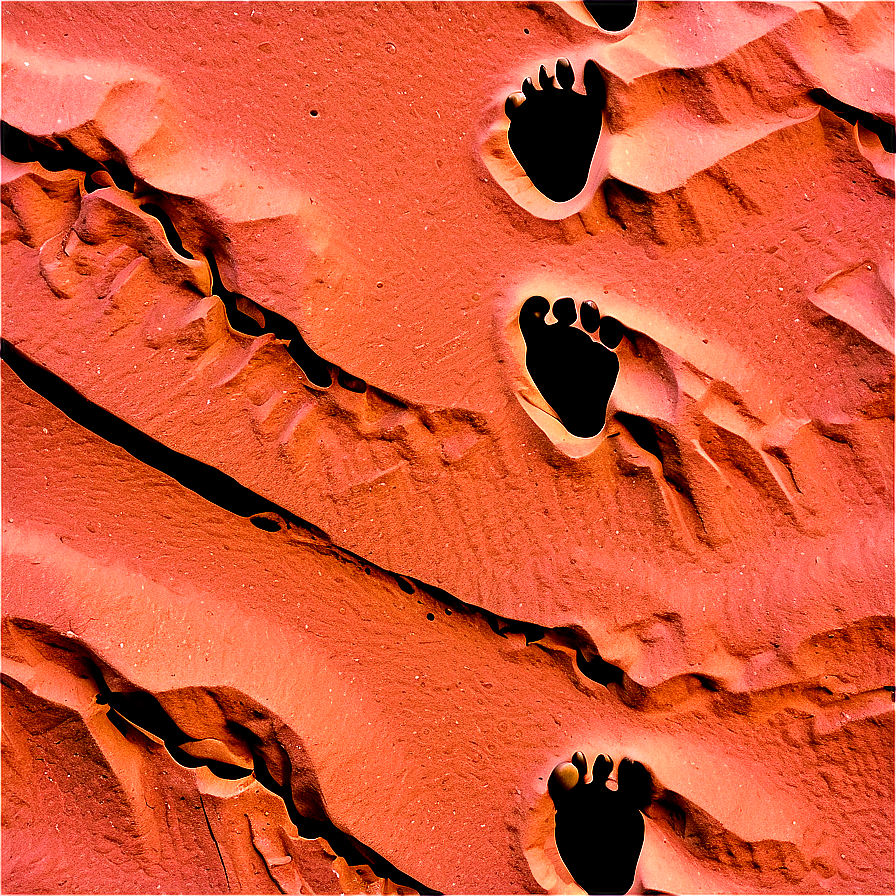 Footprints On Sandy Desert Png 06242024 PNG