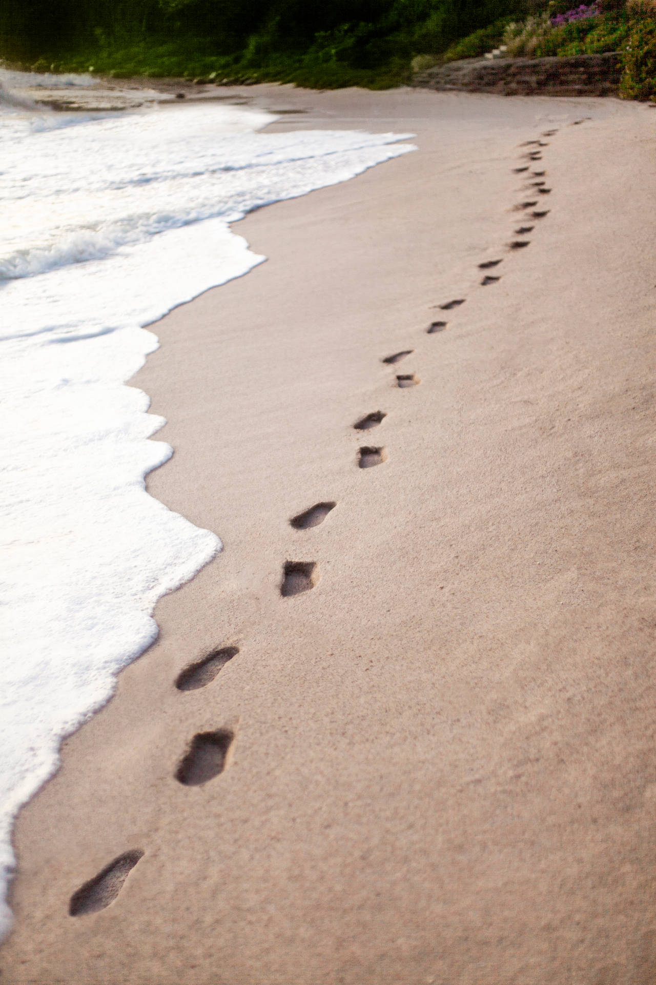 Footsteps On The Beach Ocean Step Path Photo Background And Picture For  Free Download - Pngtree