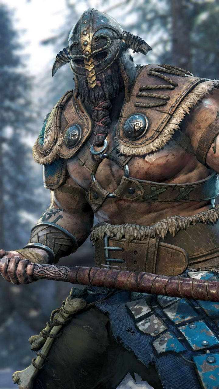 For Honor Phone Raider Picture