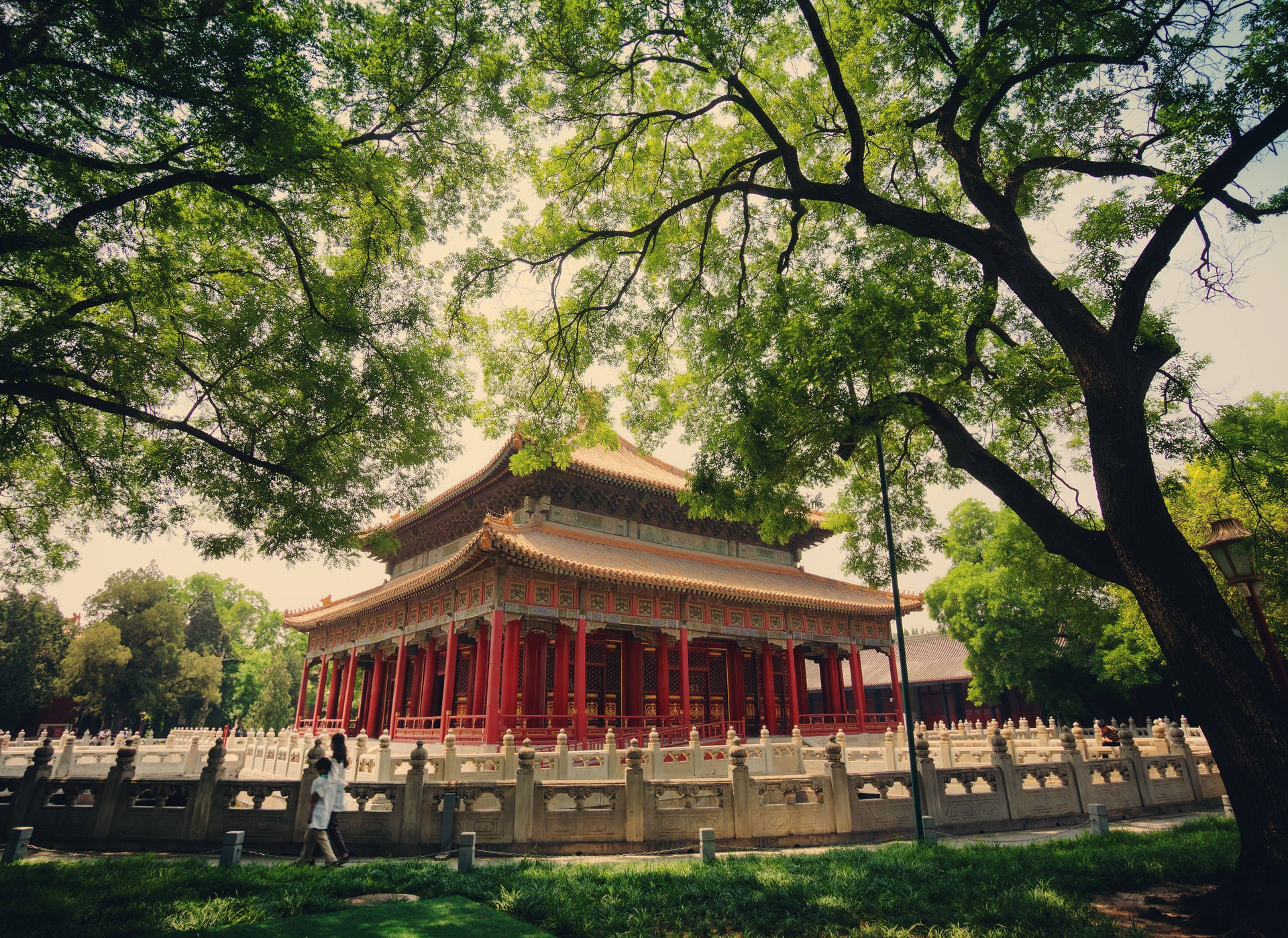 Forbidden City Palace With Trees Wallpaper