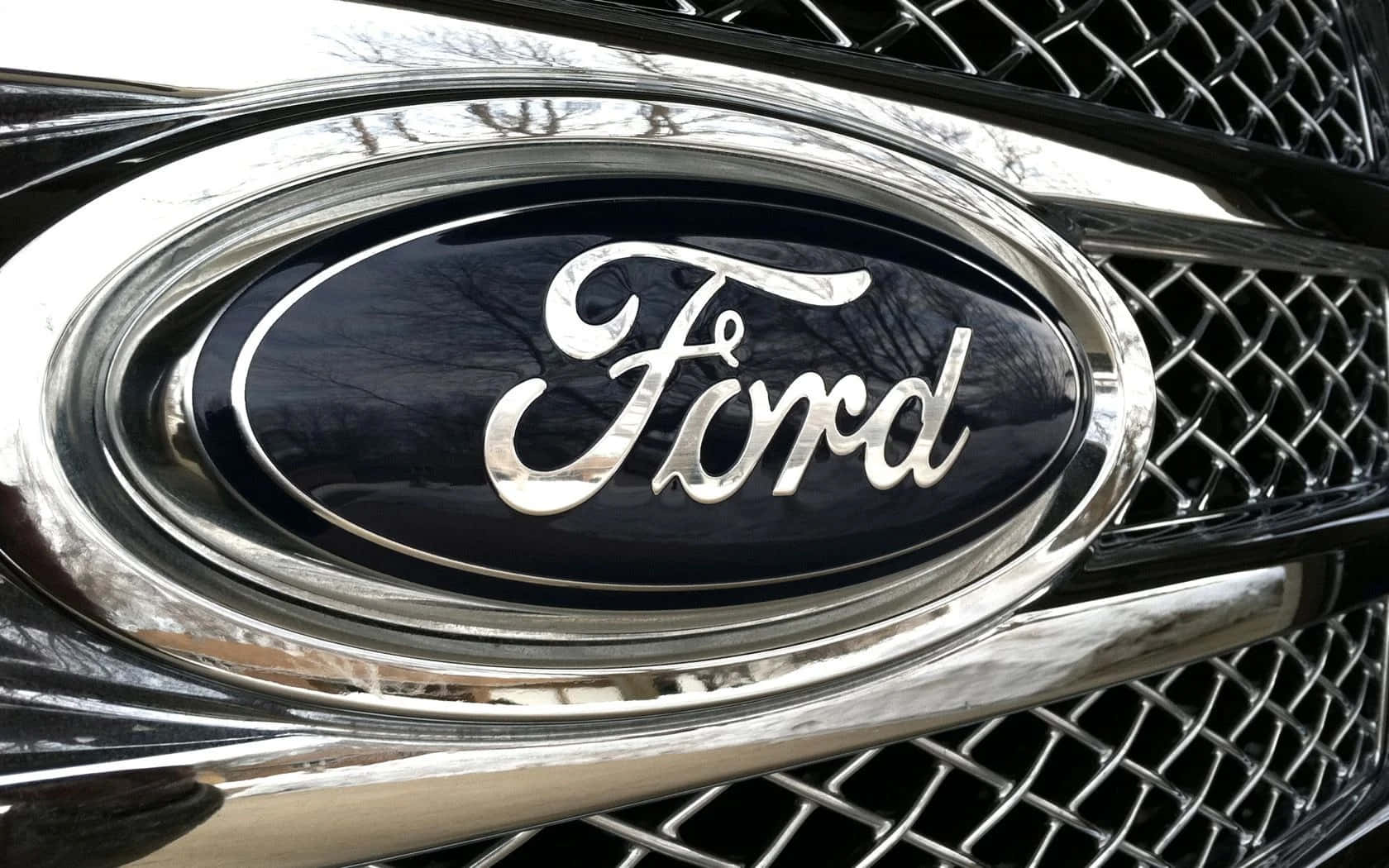 Logotipode Ford En Una Parrilla Negra.