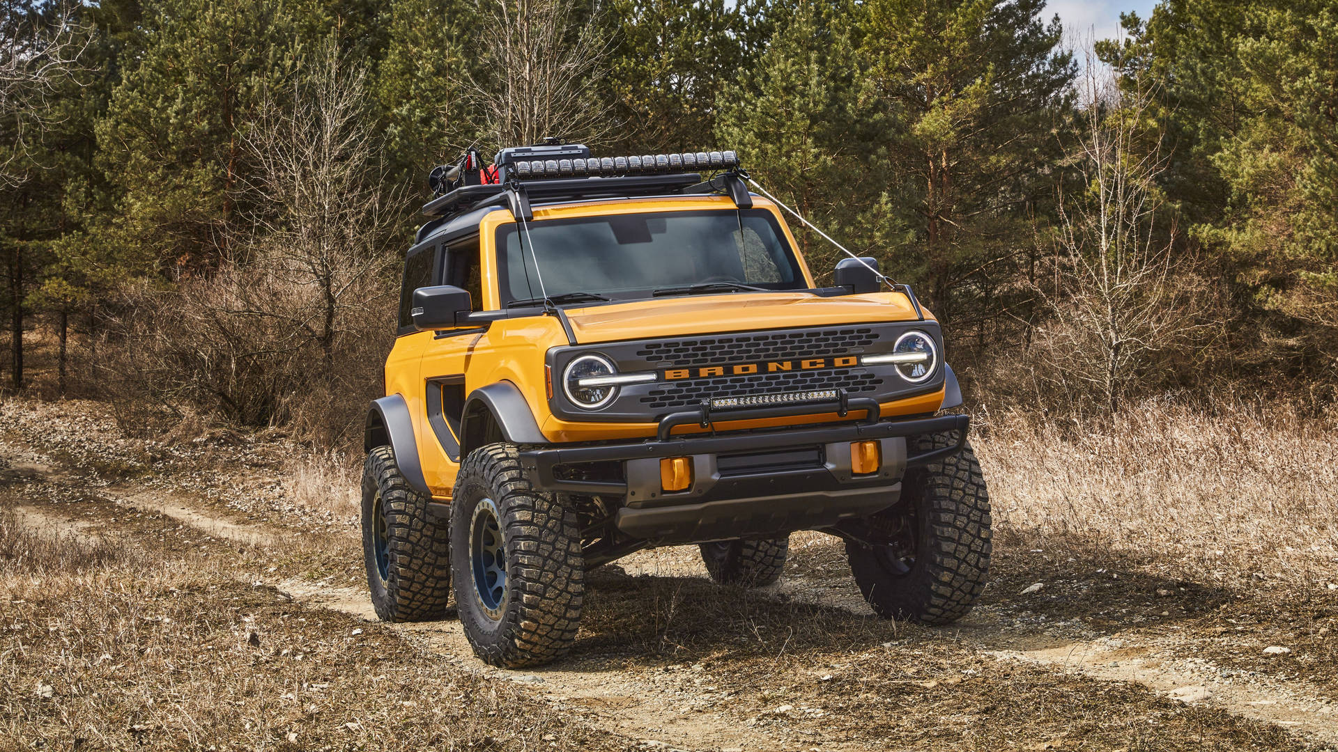 Ford Bronco Bright Yellow Paint
