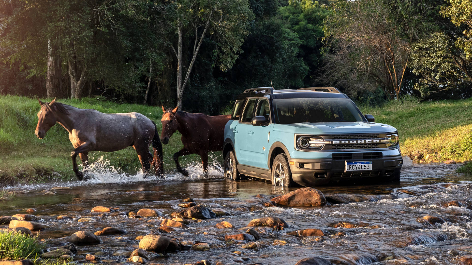 Ford Bronco With Two Horses Background