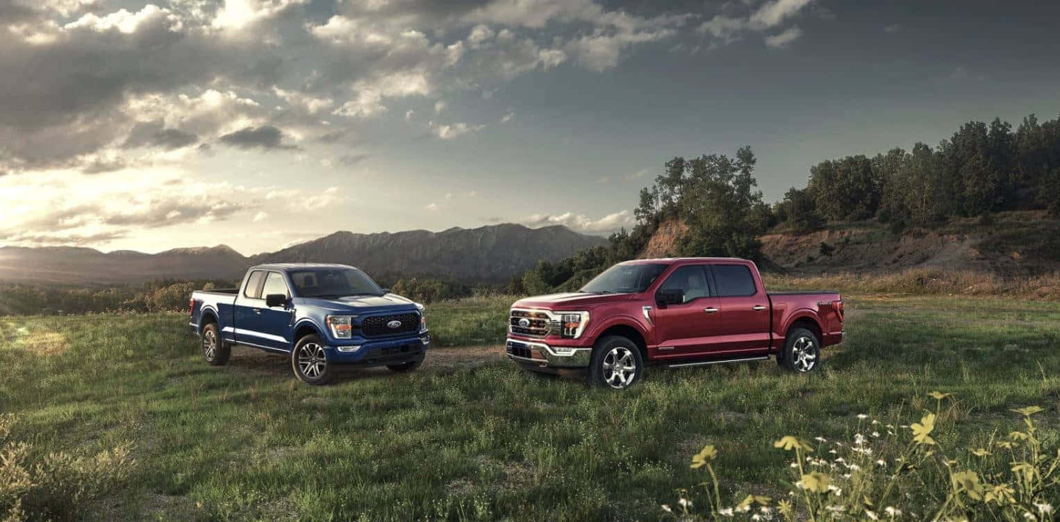 Two Ford F - 150 Trucks Parked In A Field Wallpaper