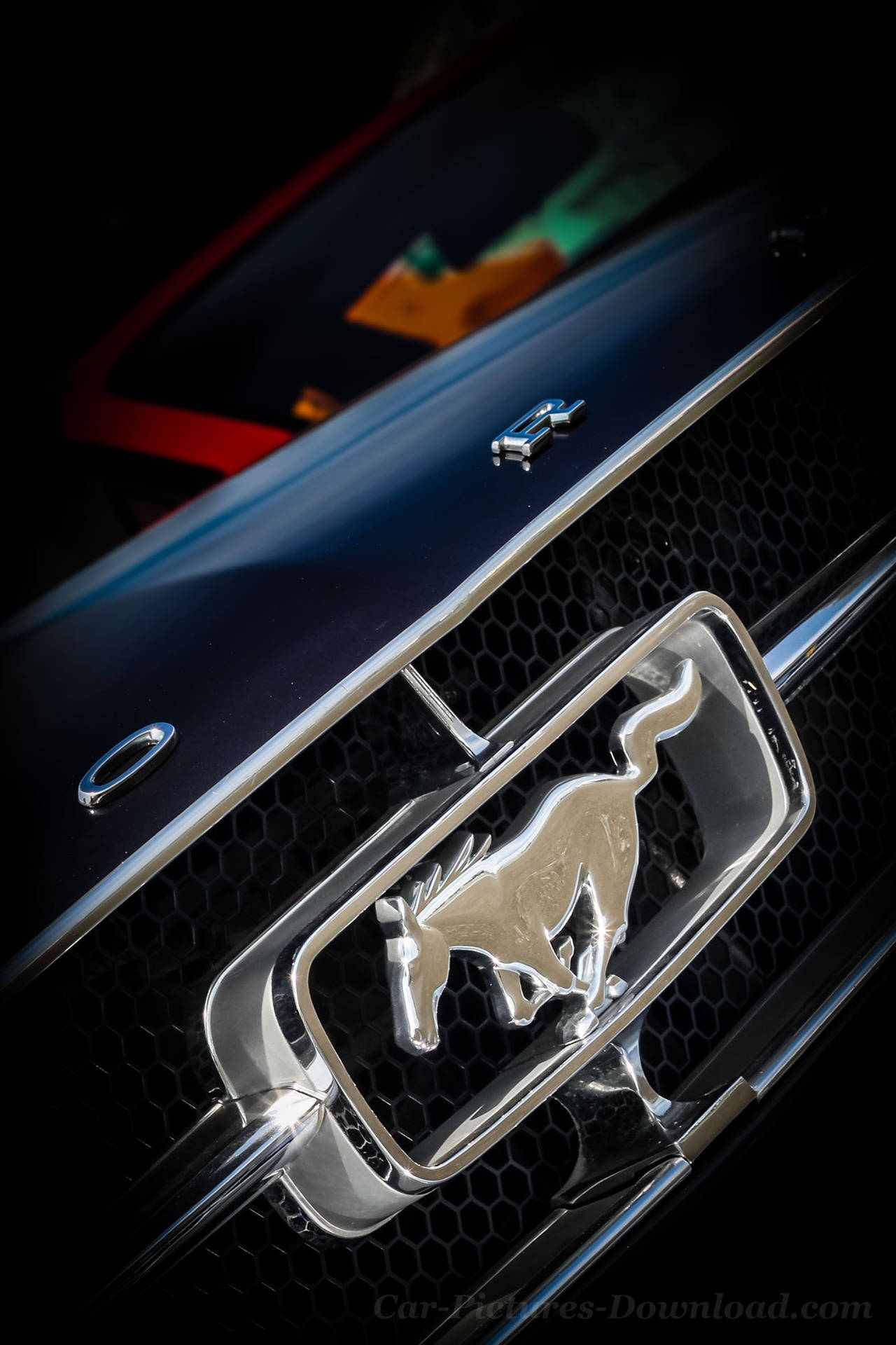 Download Neon Blue Jaguar Car Logo Wallpaper  Wallpaperscom