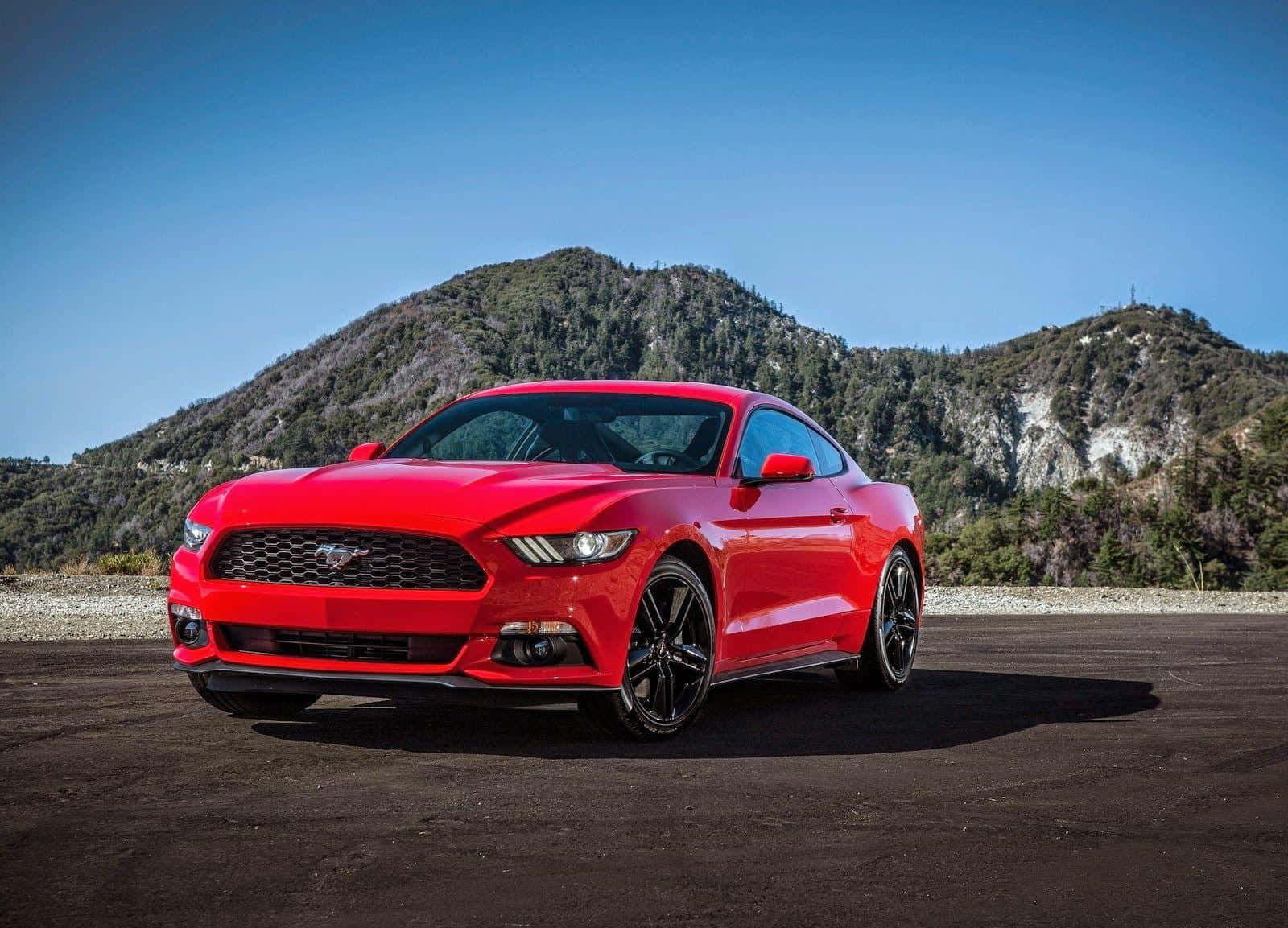Caption: Ford Mustang EcoBoost on the road Wallpaper
