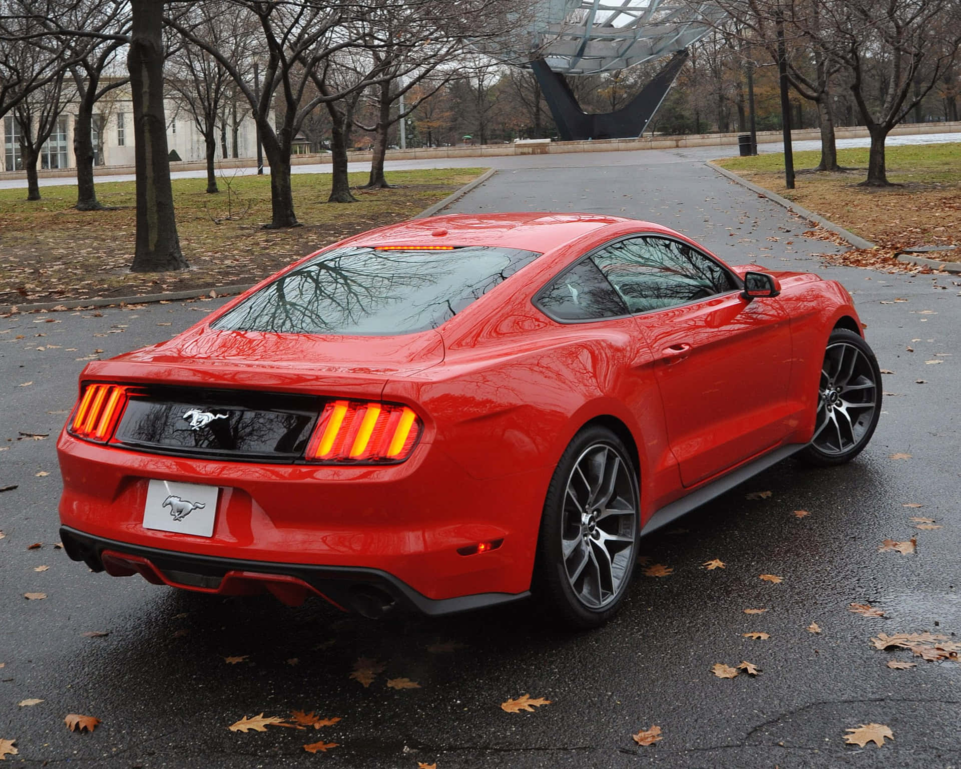 Sleek Ford Mustang EcoBoost on the Open Road Wallpaper