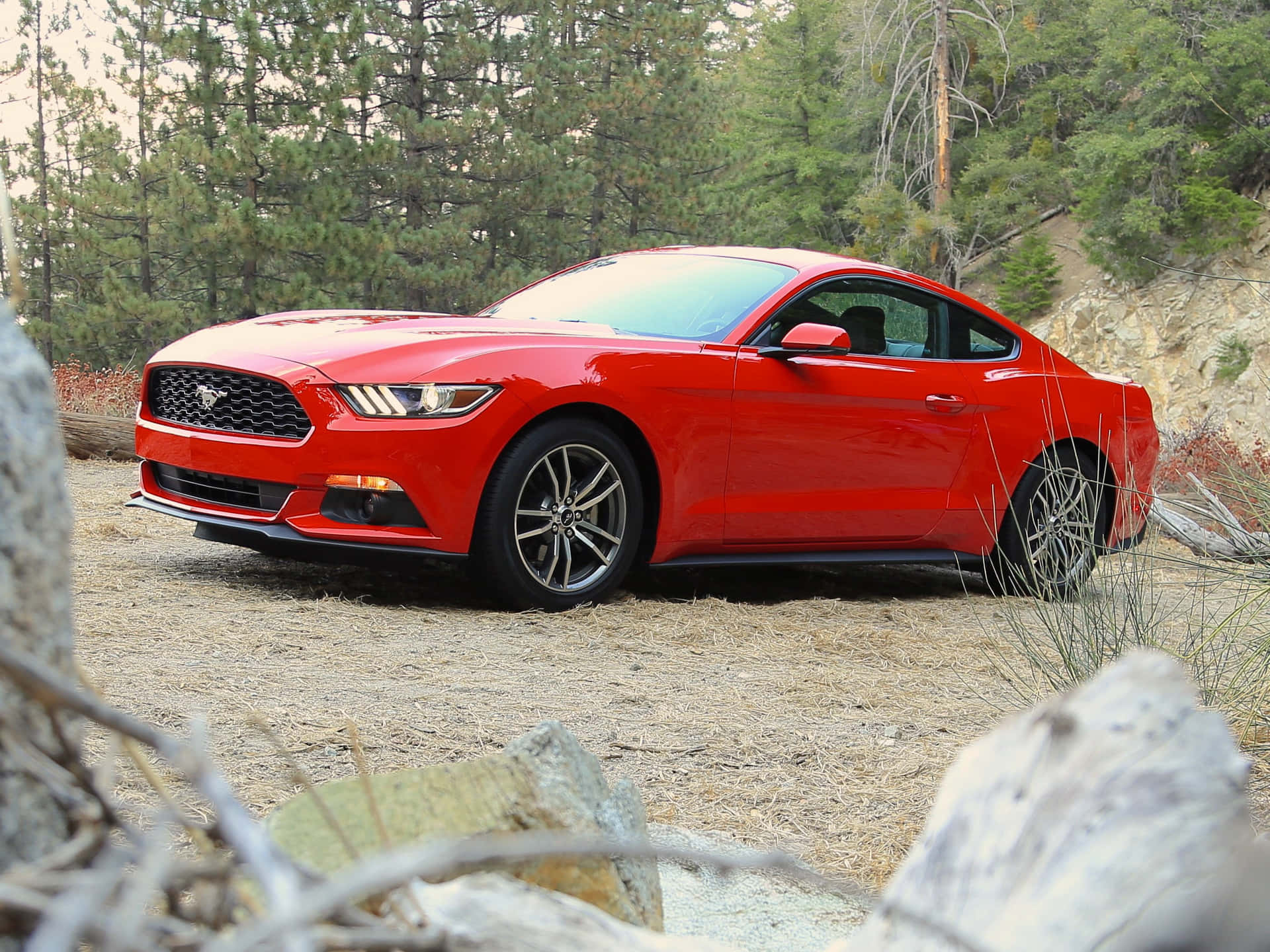 Pristine Ford Mustang Ecoboost on the Road Wallpaper