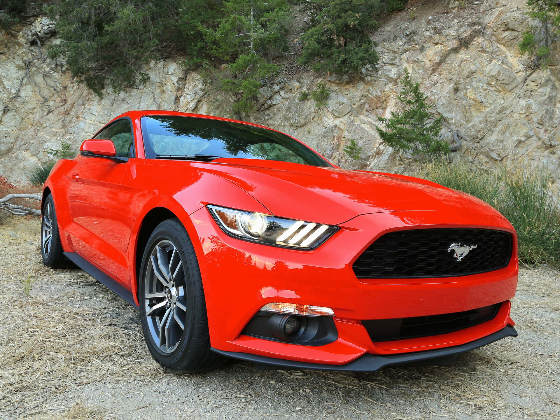 Sleek Ford Mustang Ecoboost on the Open Road Wallpaper