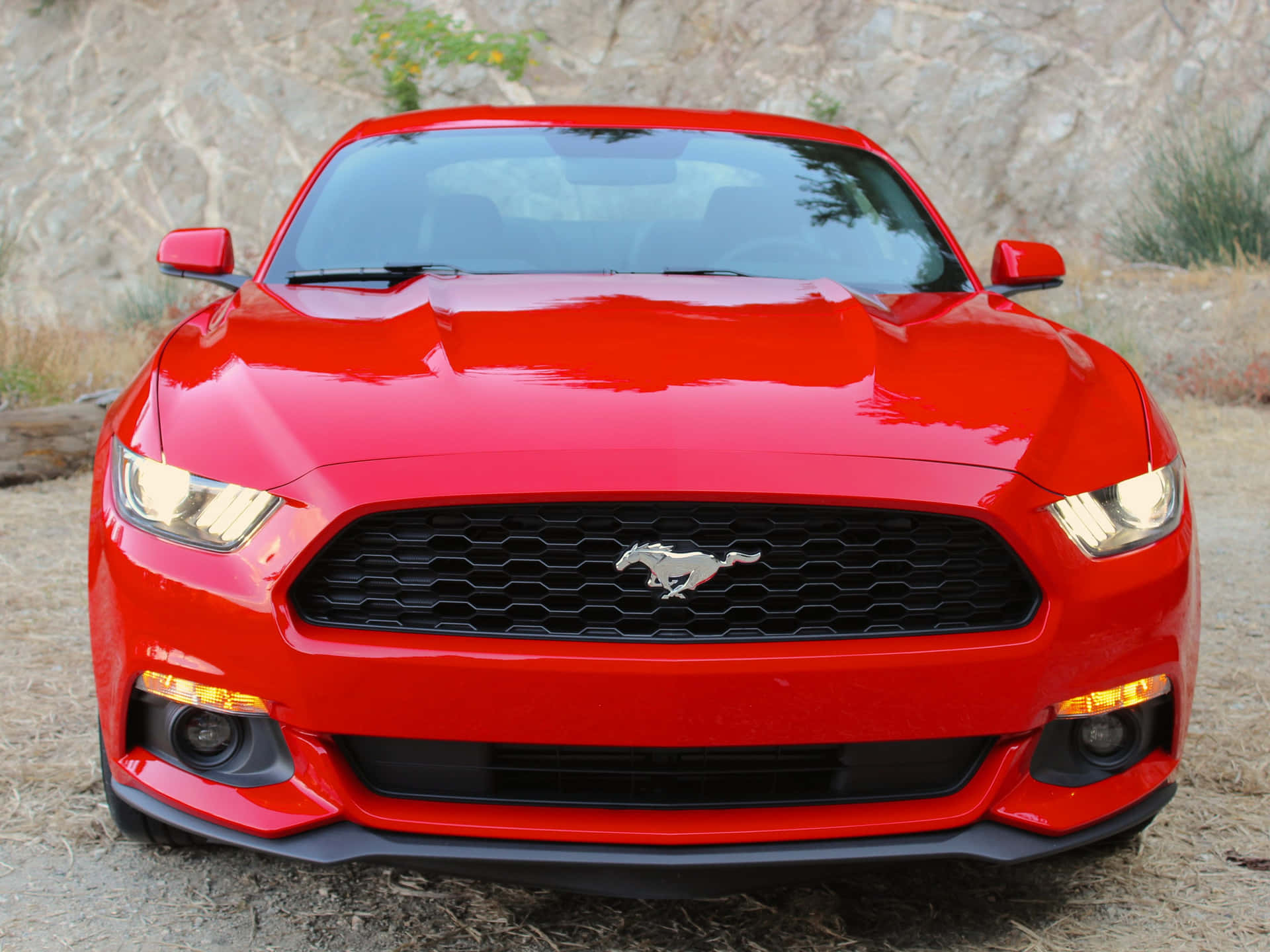 Stunning Ford Mustang EcoBoost in Action Wallpaper