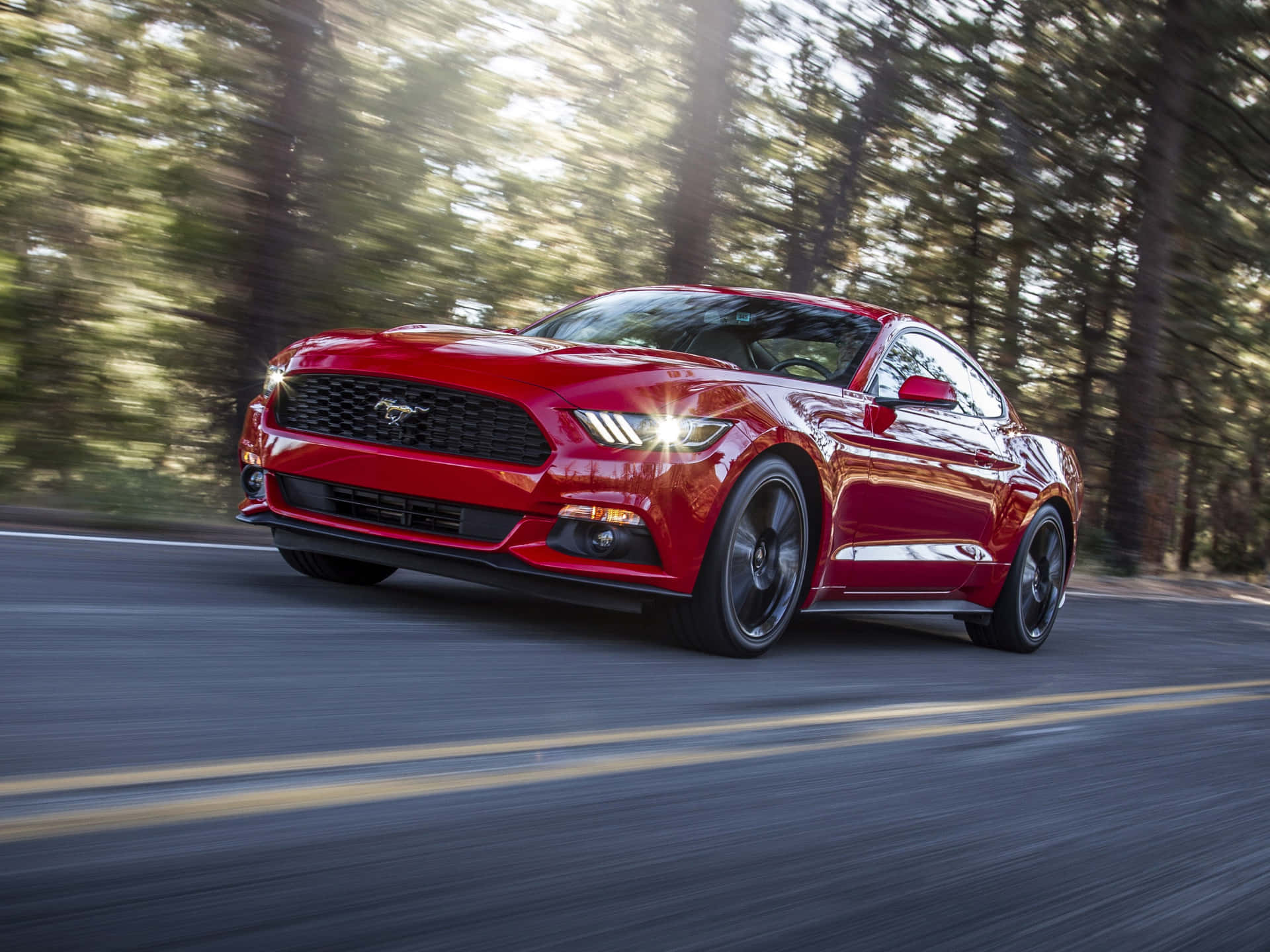 Sleek Ford Mustang Ecoboost on the Open Road Wallpaper