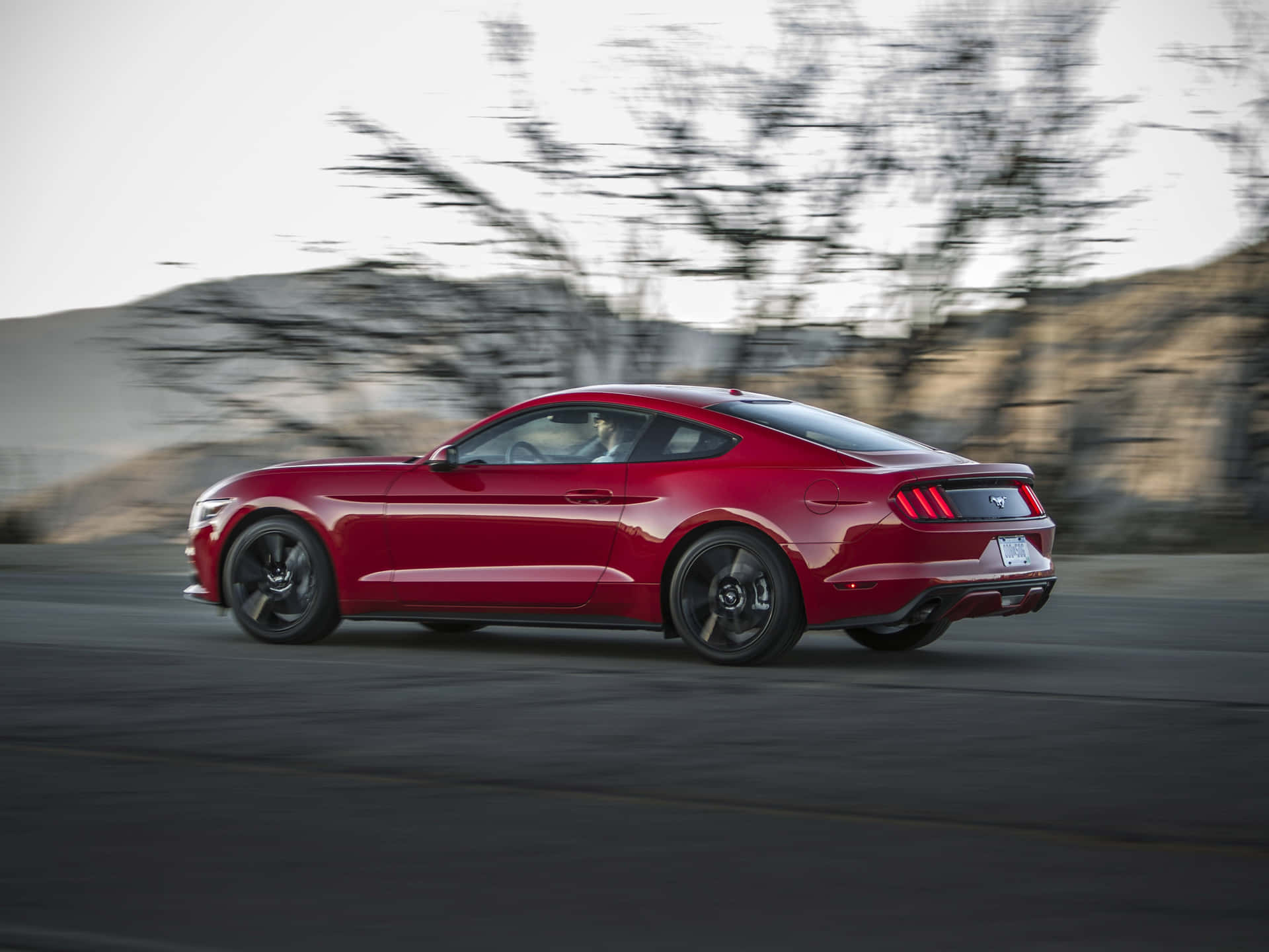 Sleek and Powerful Ford Mustang Ecoboost on the Road Wallpaper