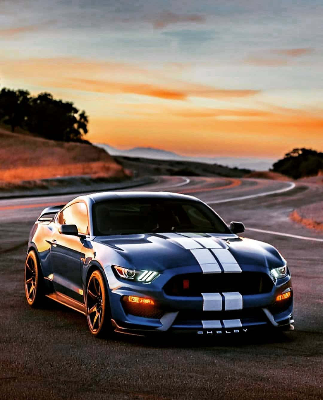 Ford Mustang Gt350r - Superiority In Style And Speed Wallpaper