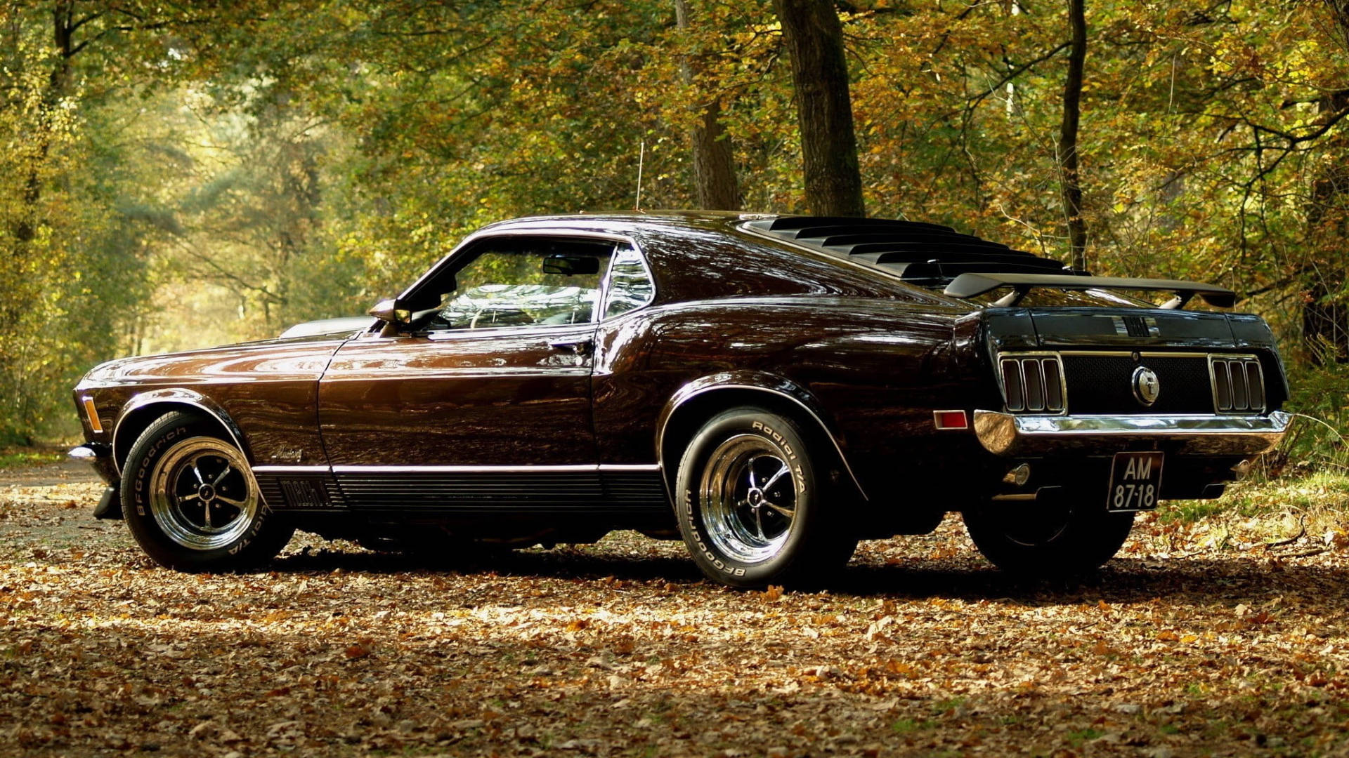 Ford Mustang Hd In The Woods Wallpaper