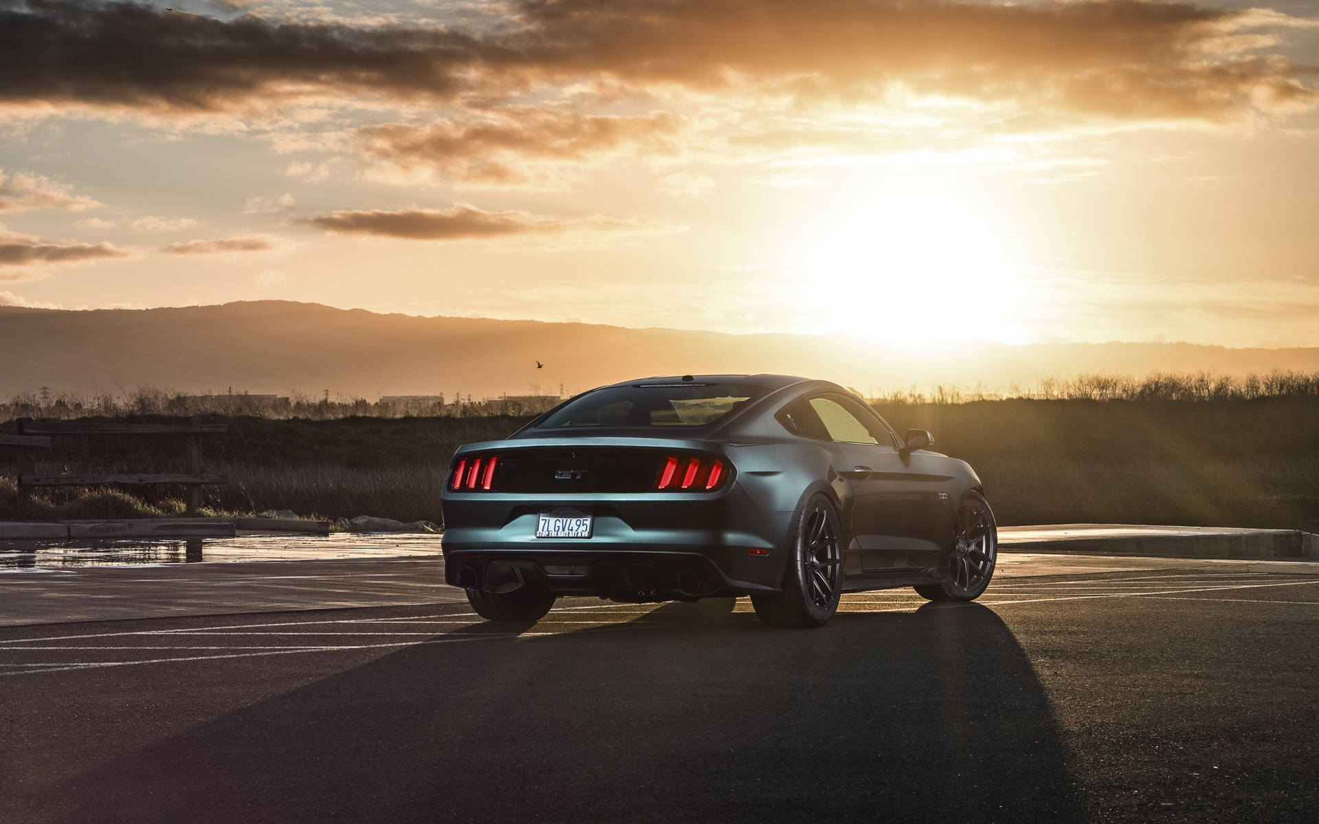 Ford Mustang In Sunset