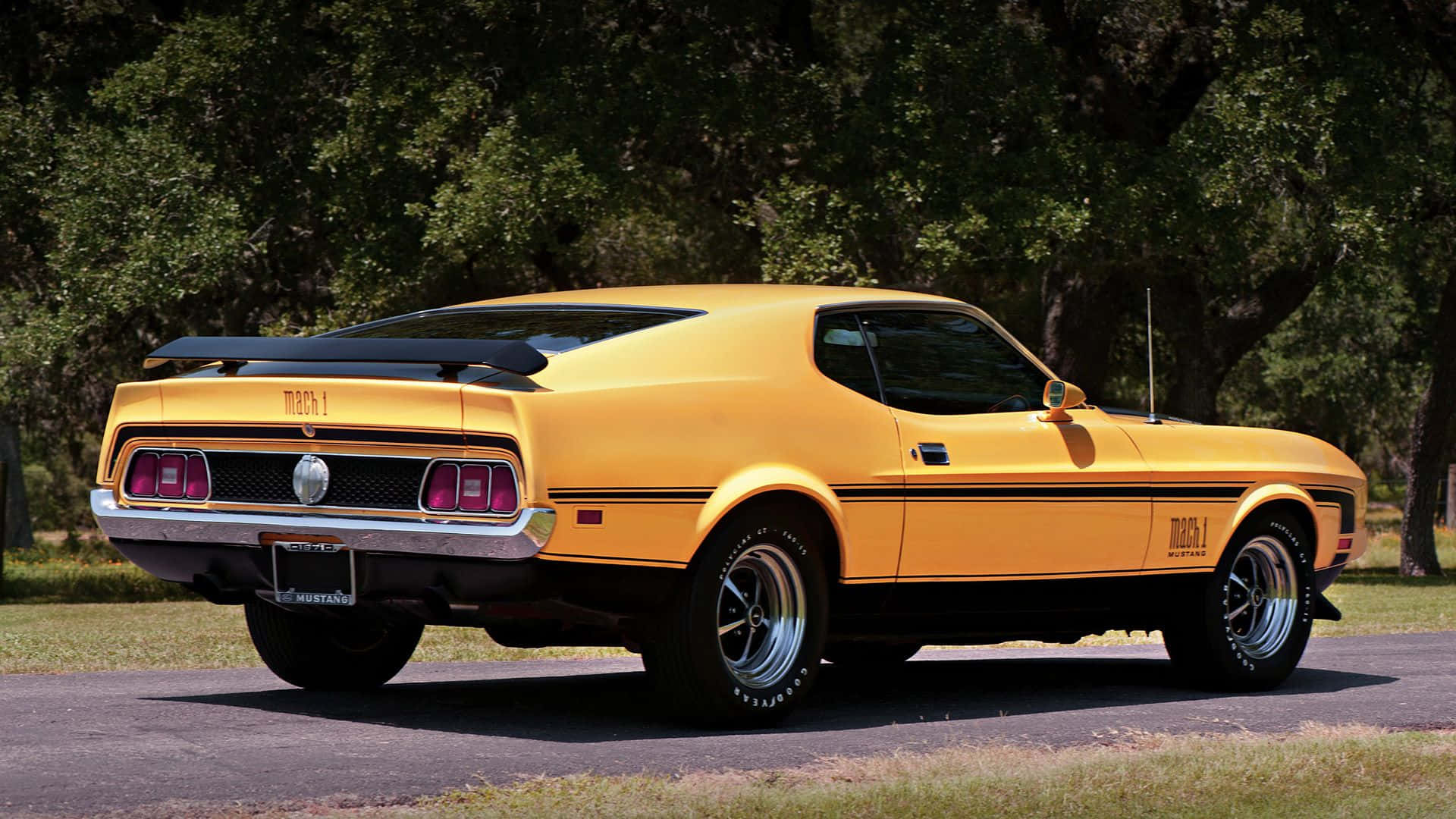 The Iconic Ford Mustang Mach 1 Roaring down the Road Wallpaper