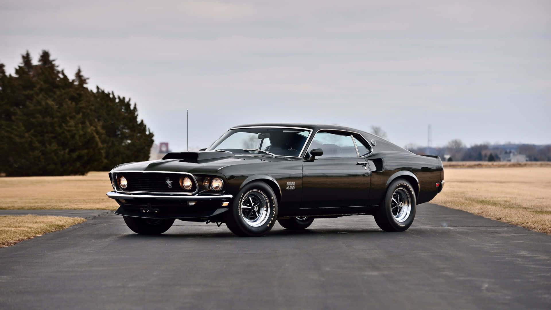 Powerful Ford Mustang Mach 1 cruising the street Wallpaper
