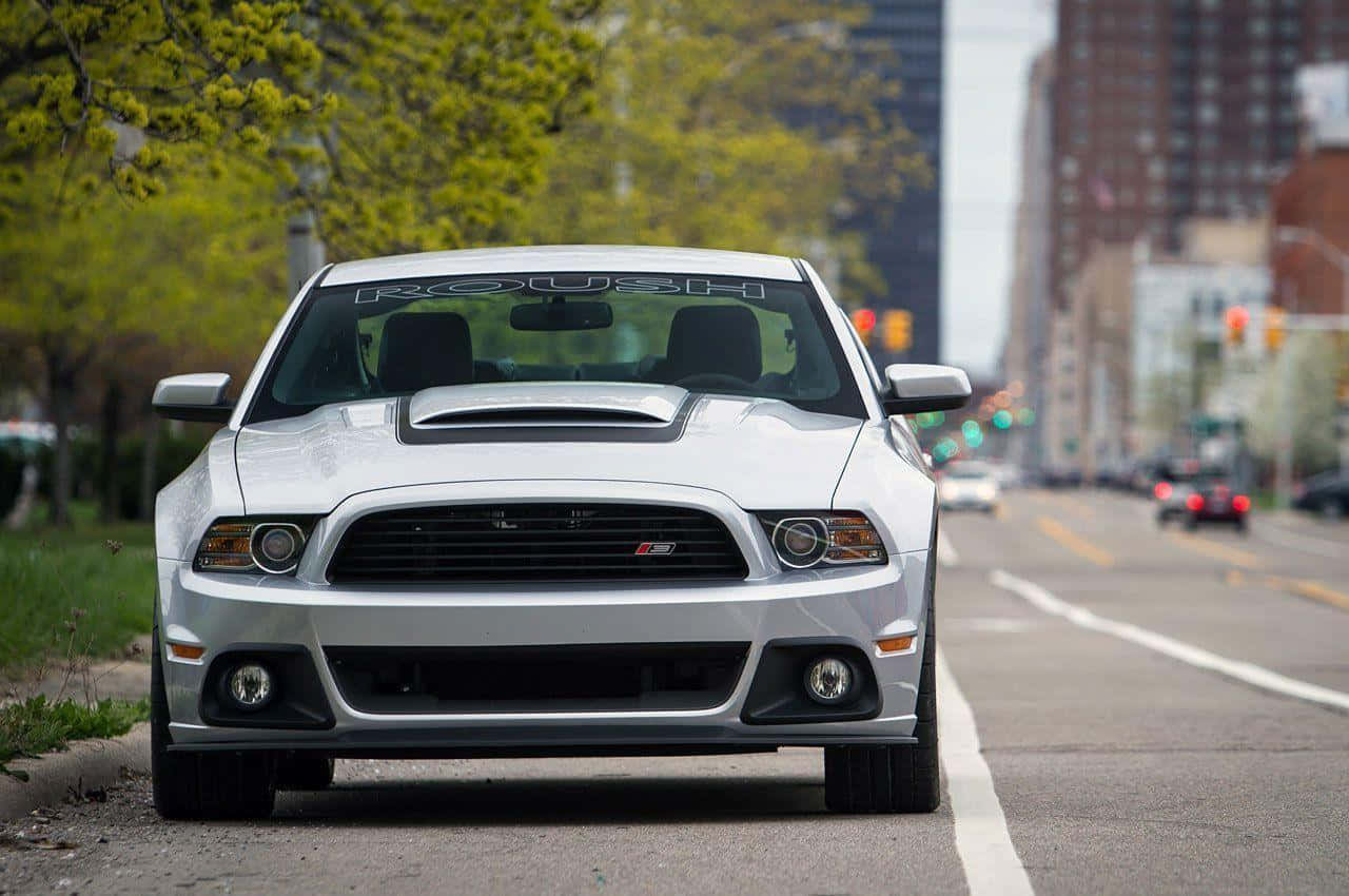 Red Ford Mustang Roush on Display Wallpaper