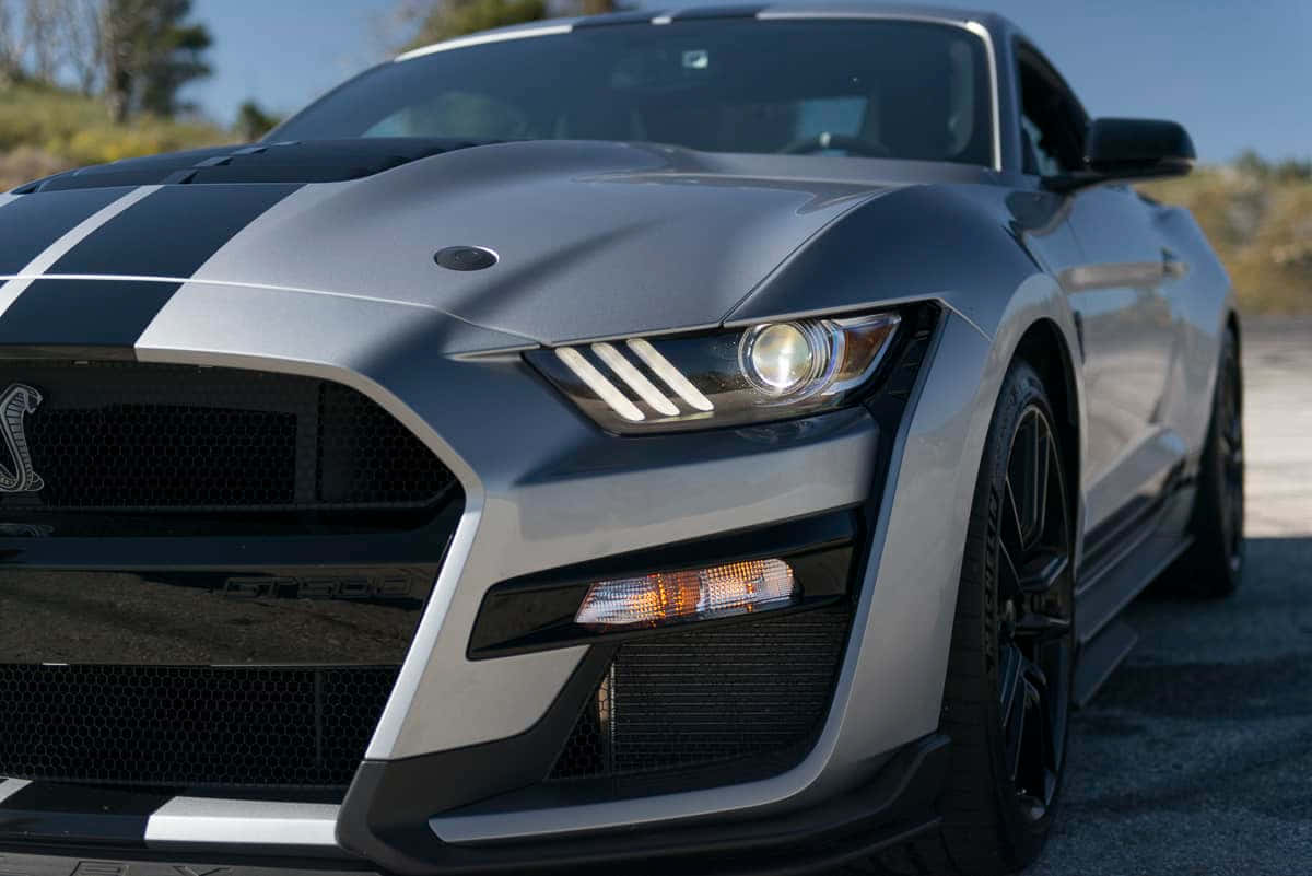 Ford Mustang Shelby G T500 Close Up Wallpaper