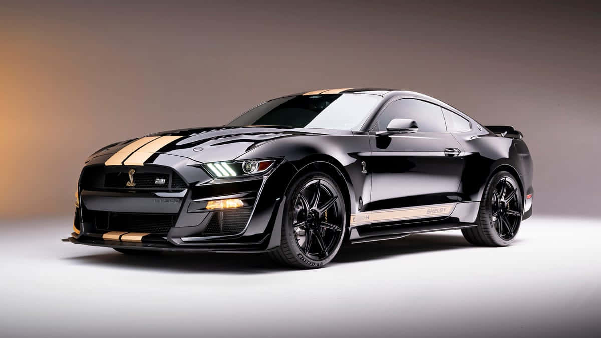 Ford Mustang Shelby G T500 Studio Shot Wallpaper