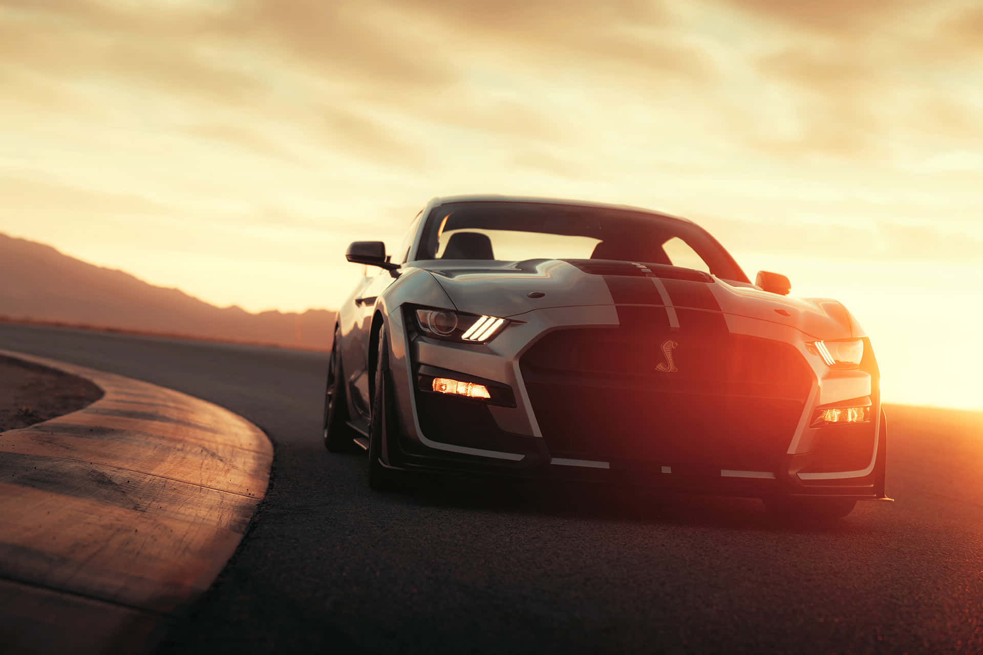 Ford Mustang Shelby G T500 Sunset Drive Wallpaper