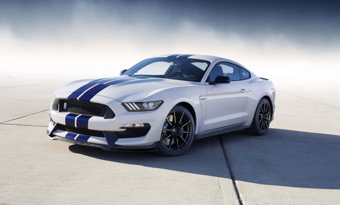 Stunning Ford Mustang Shelby GT350 in motion Wallpaper