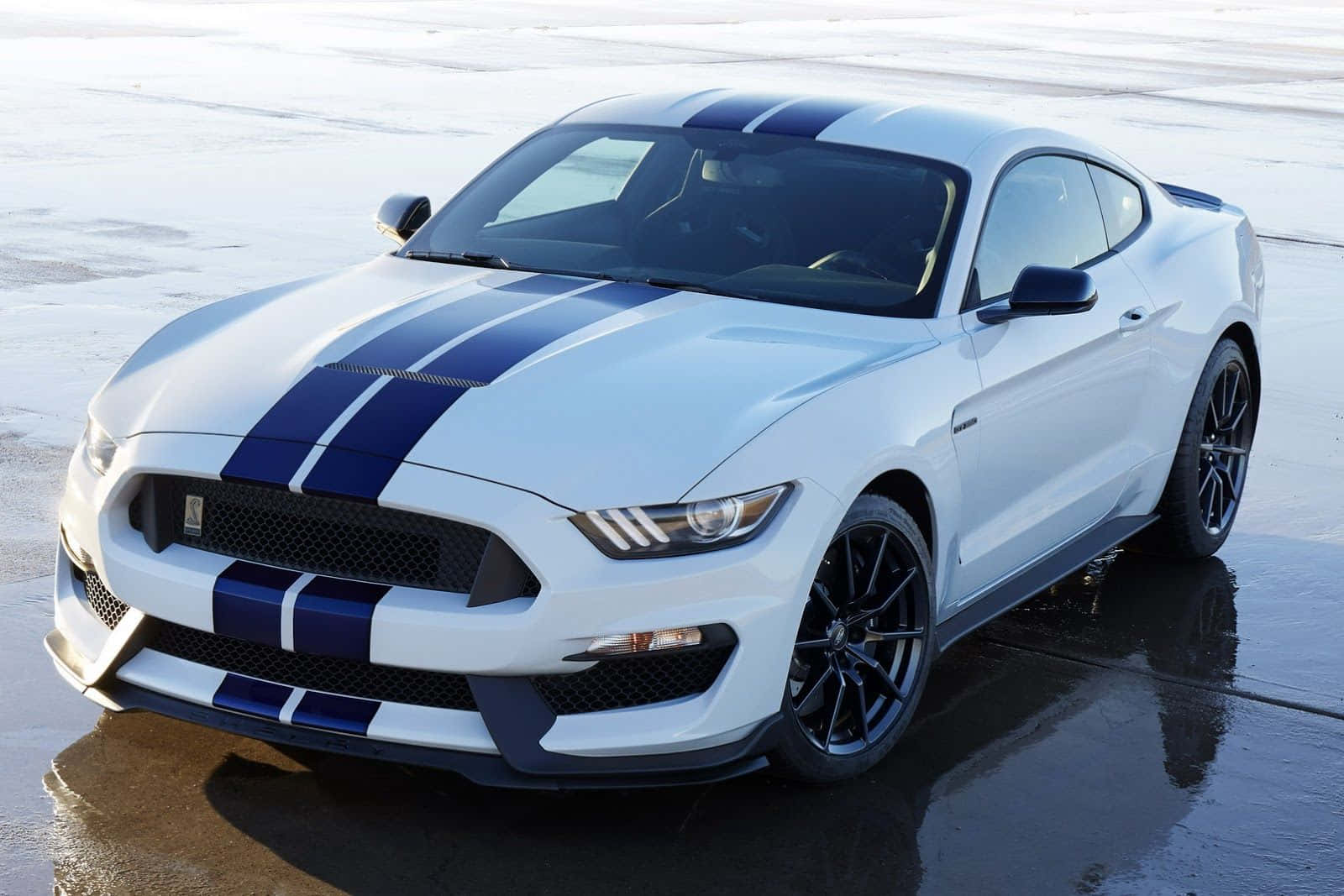 Ford Mustang Shelby GT350 in Action Wallpaper