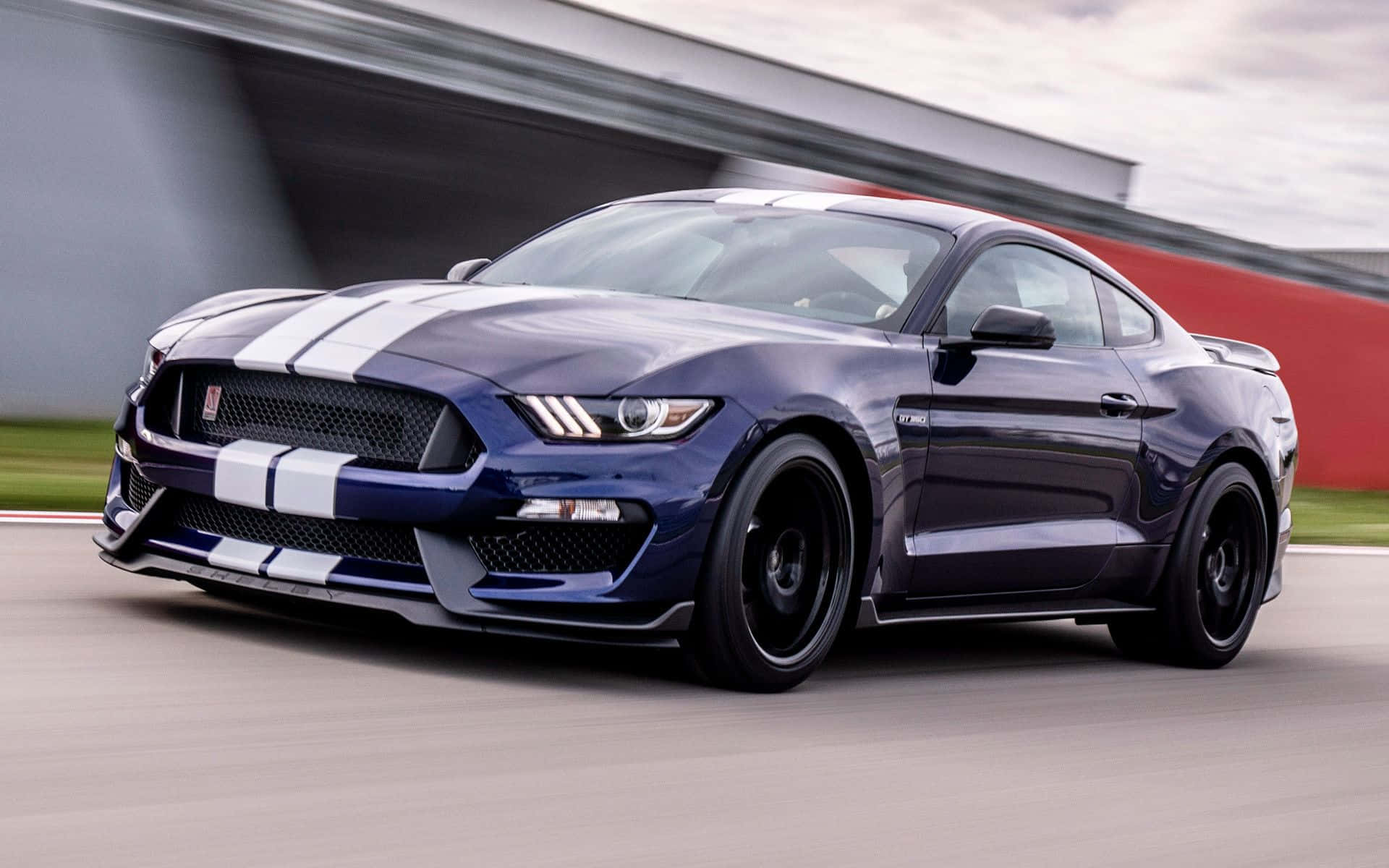 Powerful Ford Mustang Shelby GT350 in its full glory Wallpaper