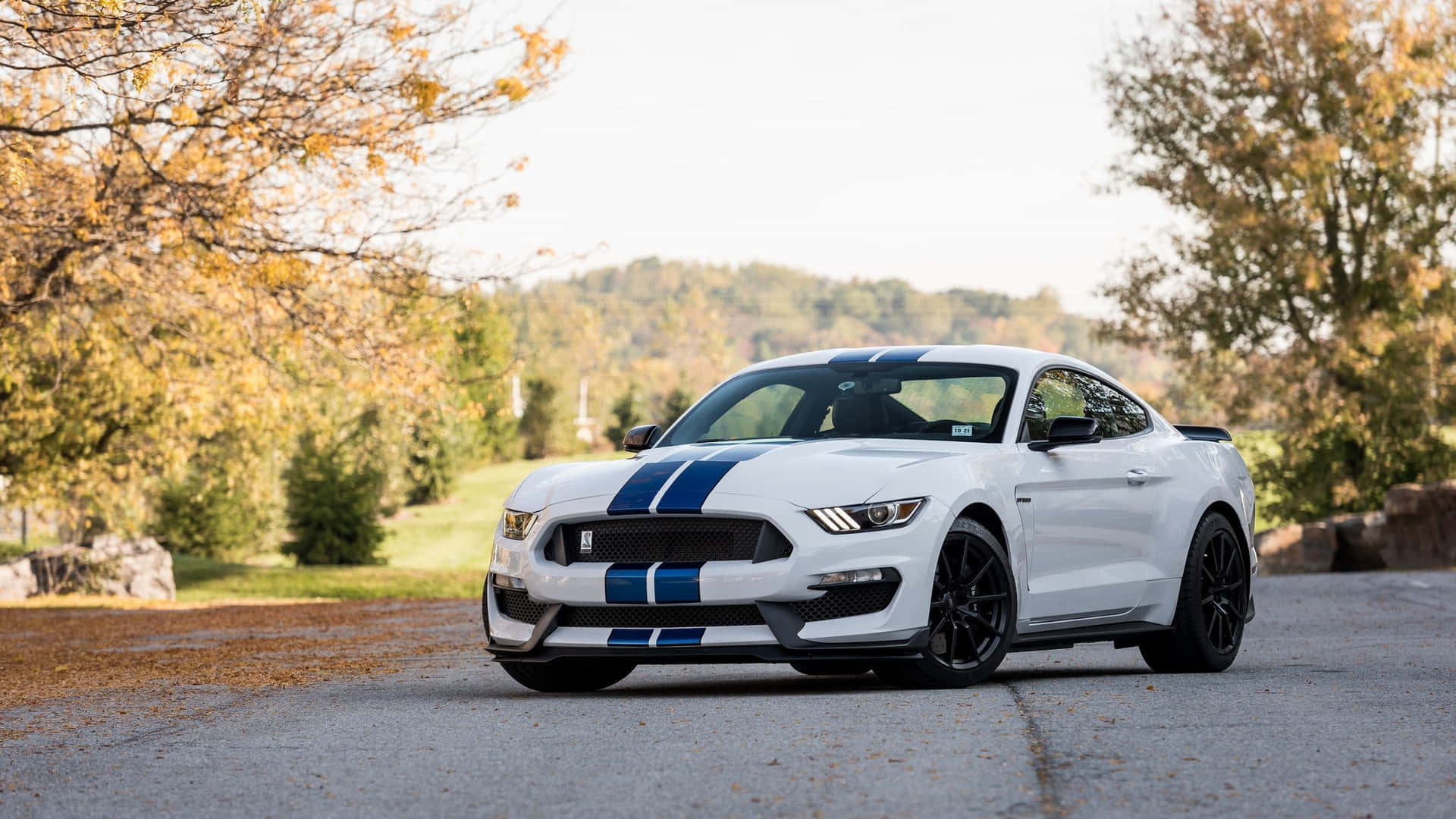Stunning Ford Mustang Shelby GT350 in Action Wallpaper