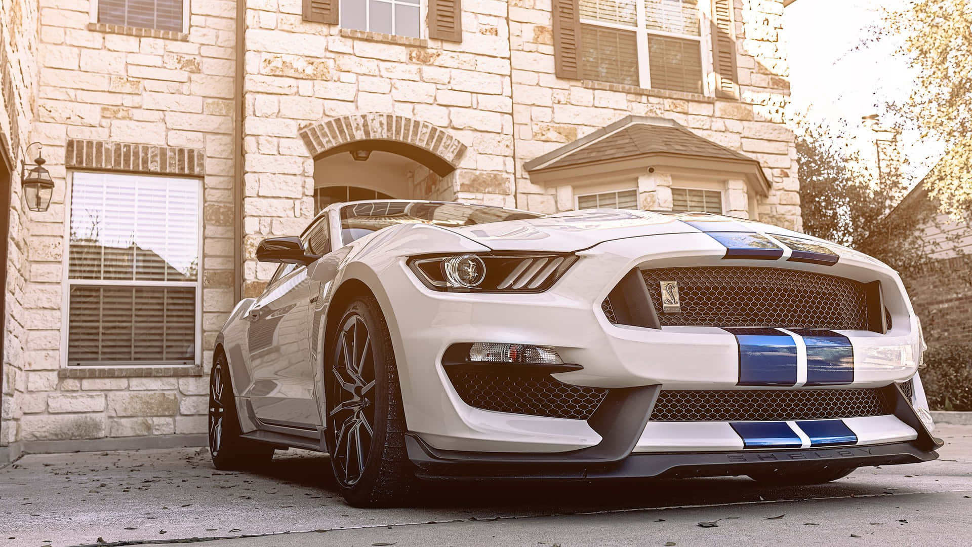 Sleek and Refined Ford Mustang Shelby GT350 Wallpaper